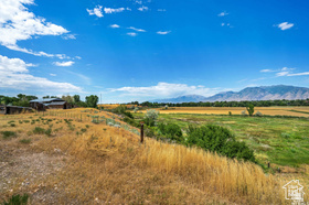 main property photo 61
