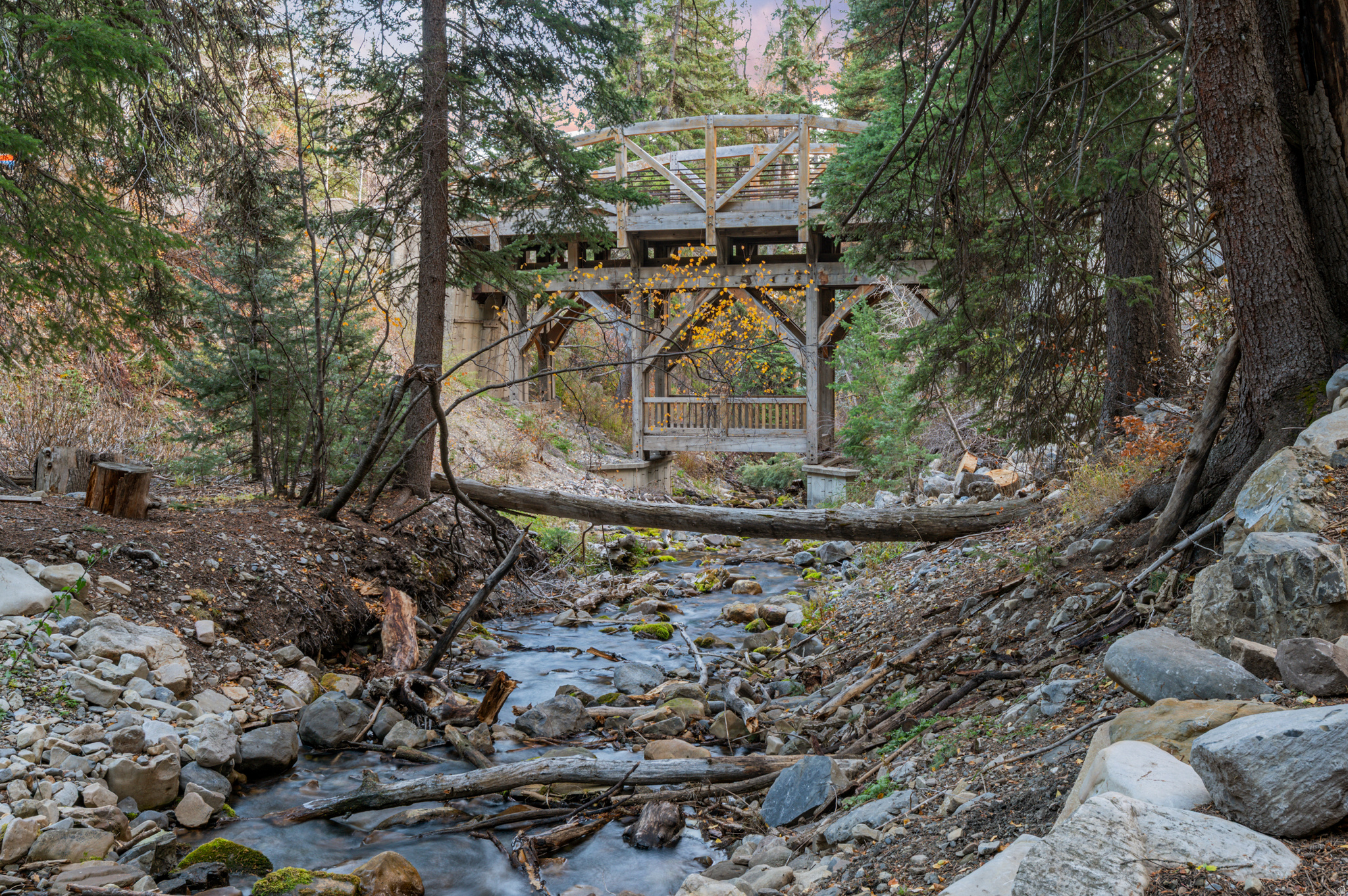 main property photo 5
