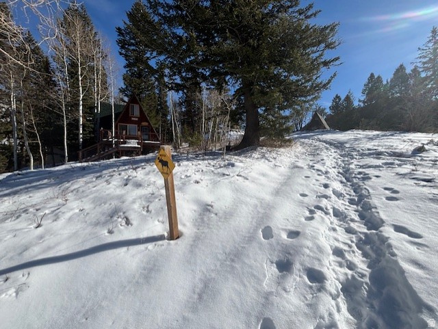main property photo 12