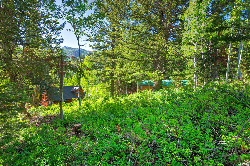 main property photo 5