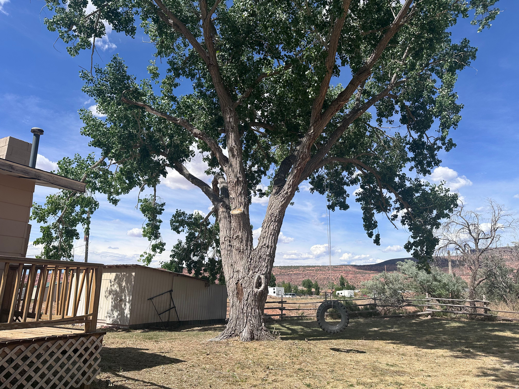 main property photo 10