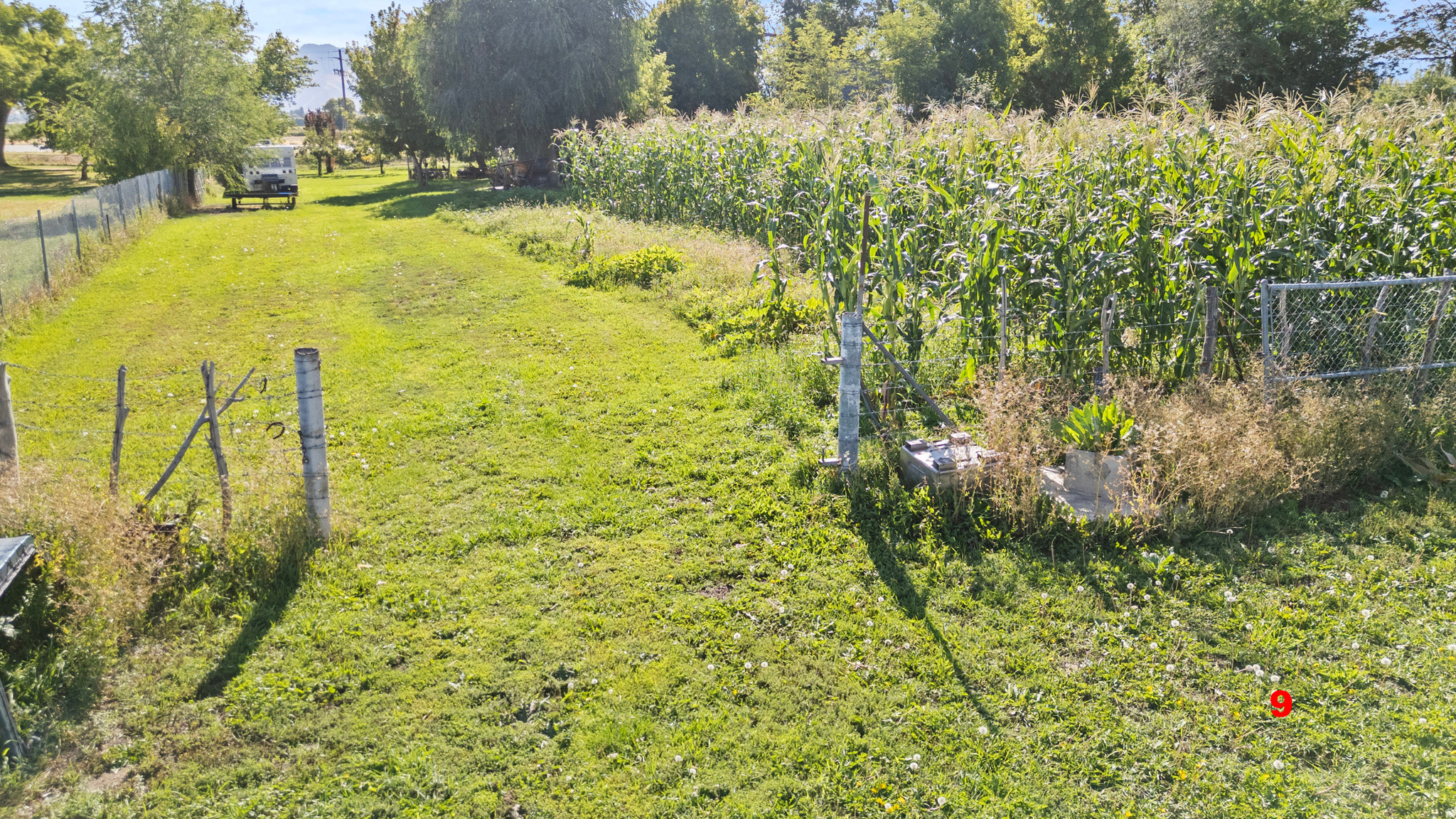 main property photo 8