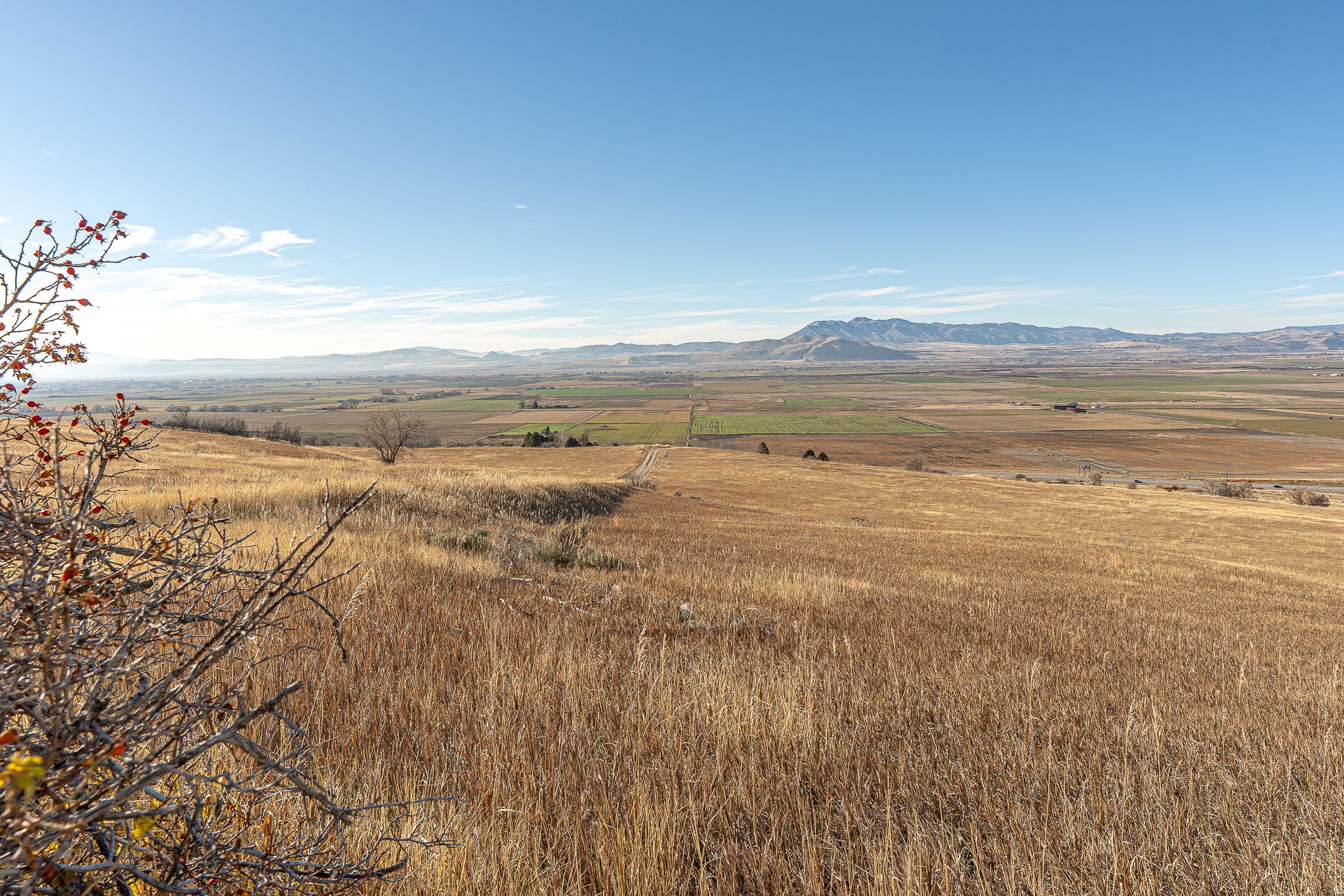 main property photo 26