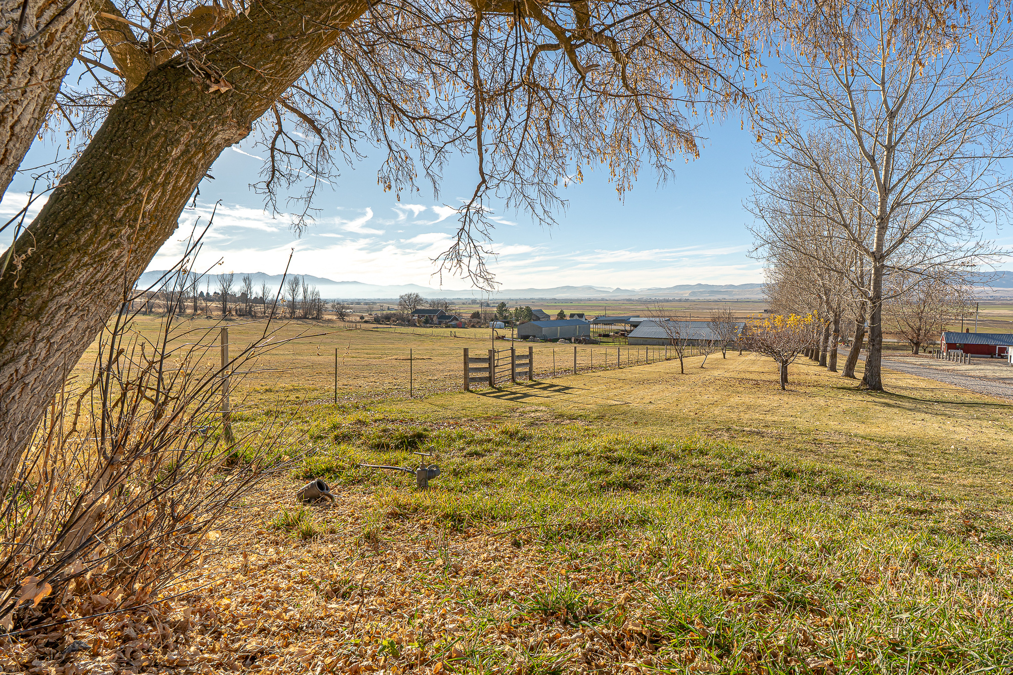 main property photo 30