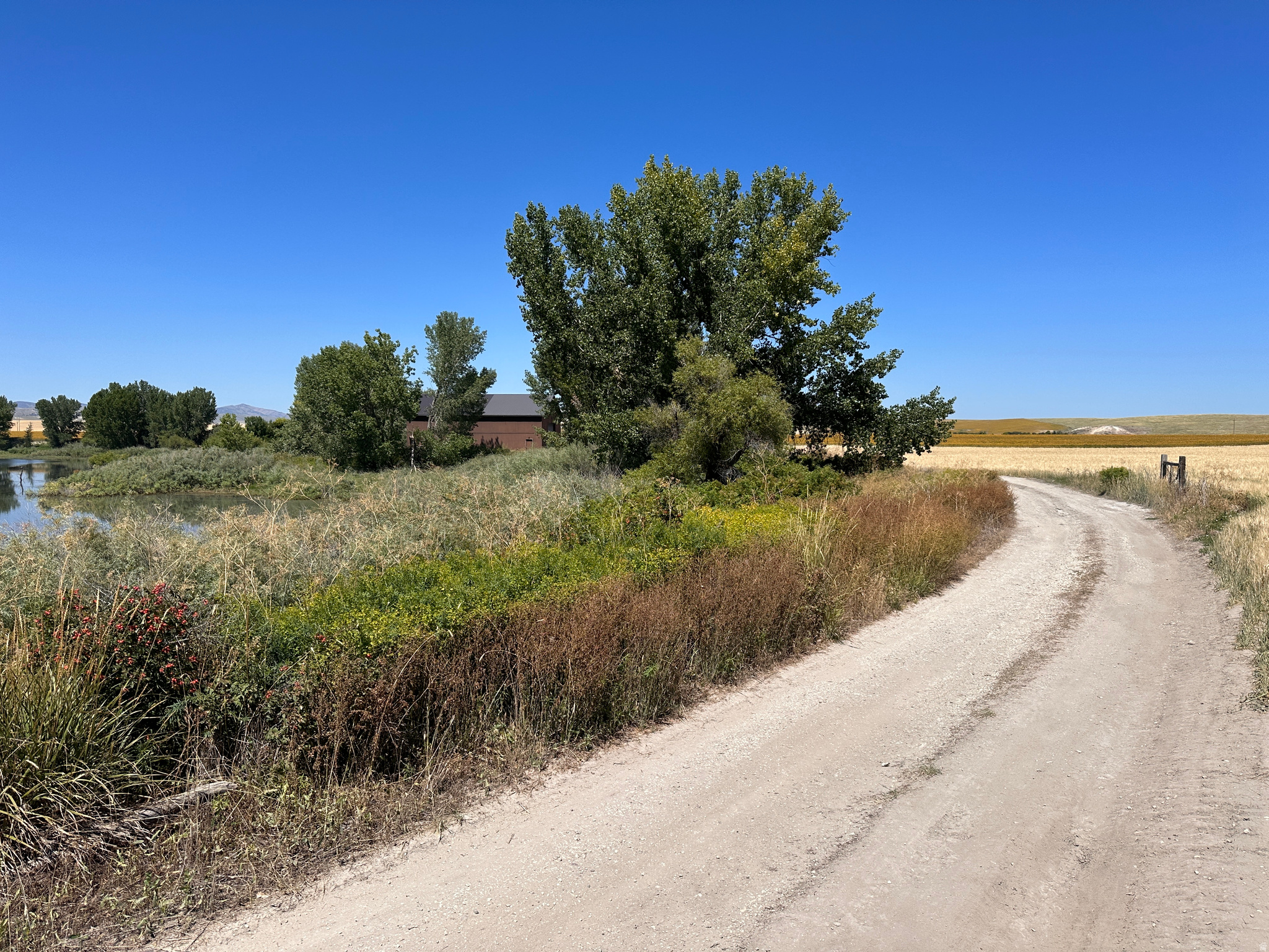 main property photo 15