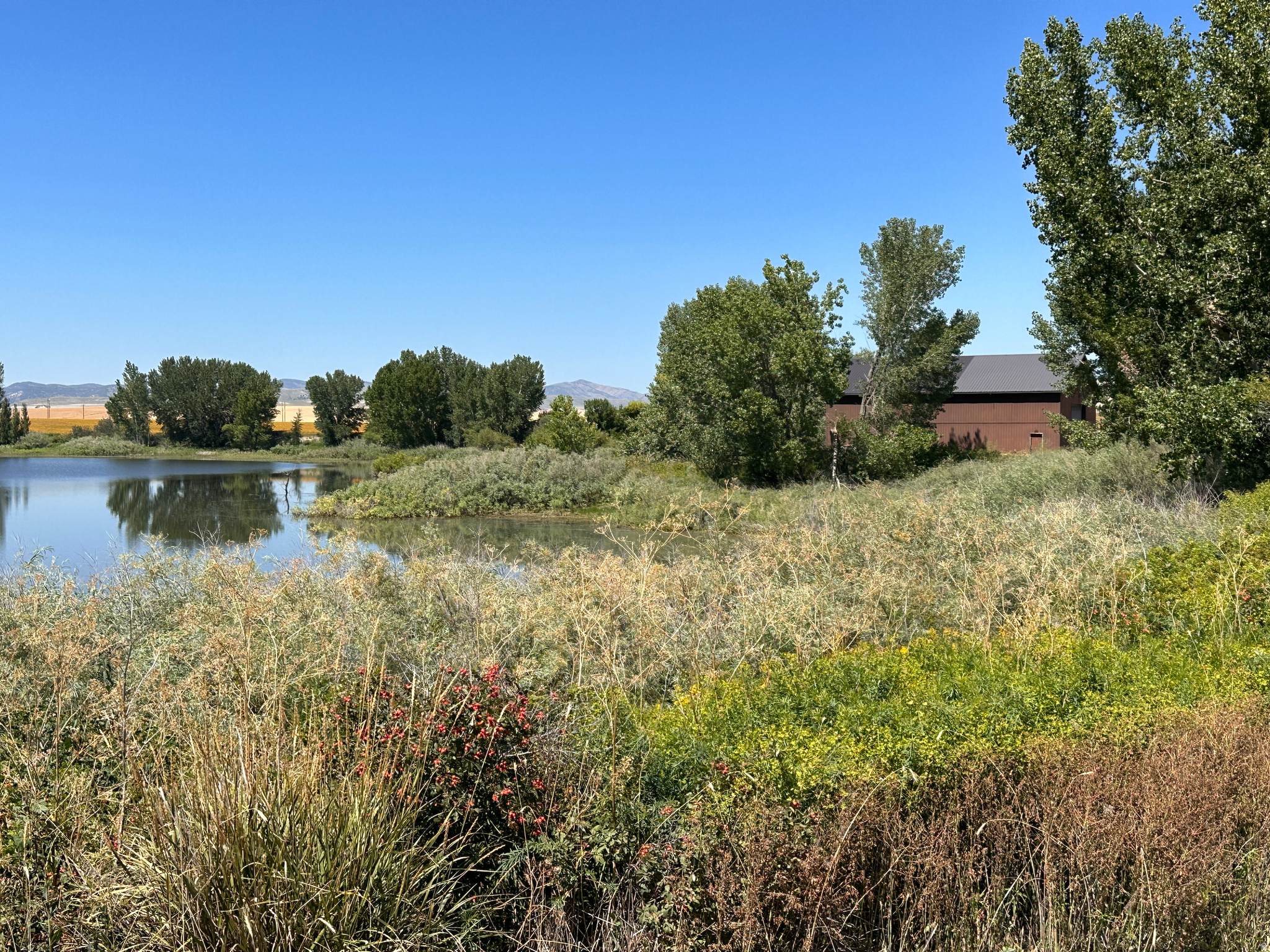 main property photo 16