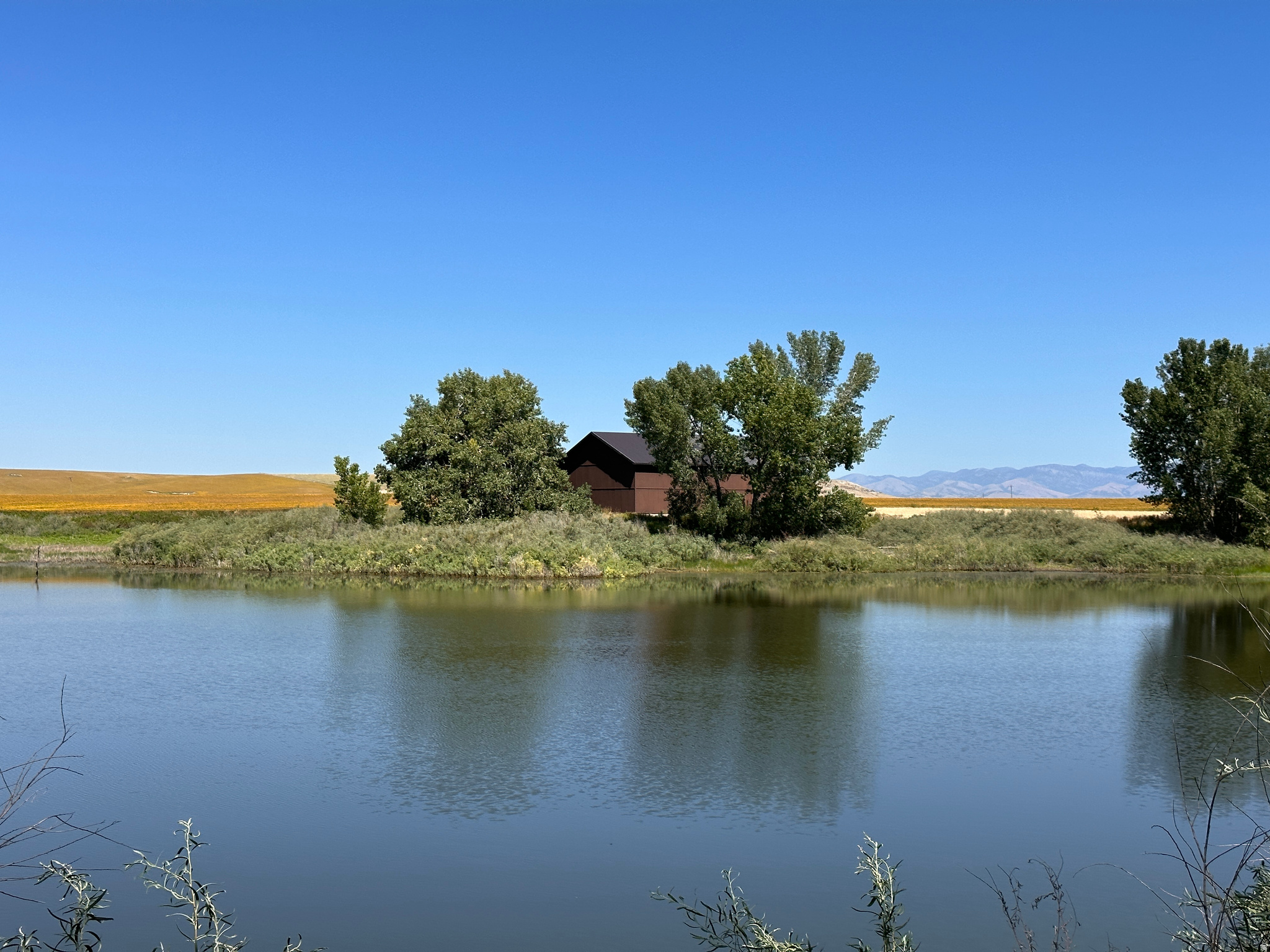 main property photo 20