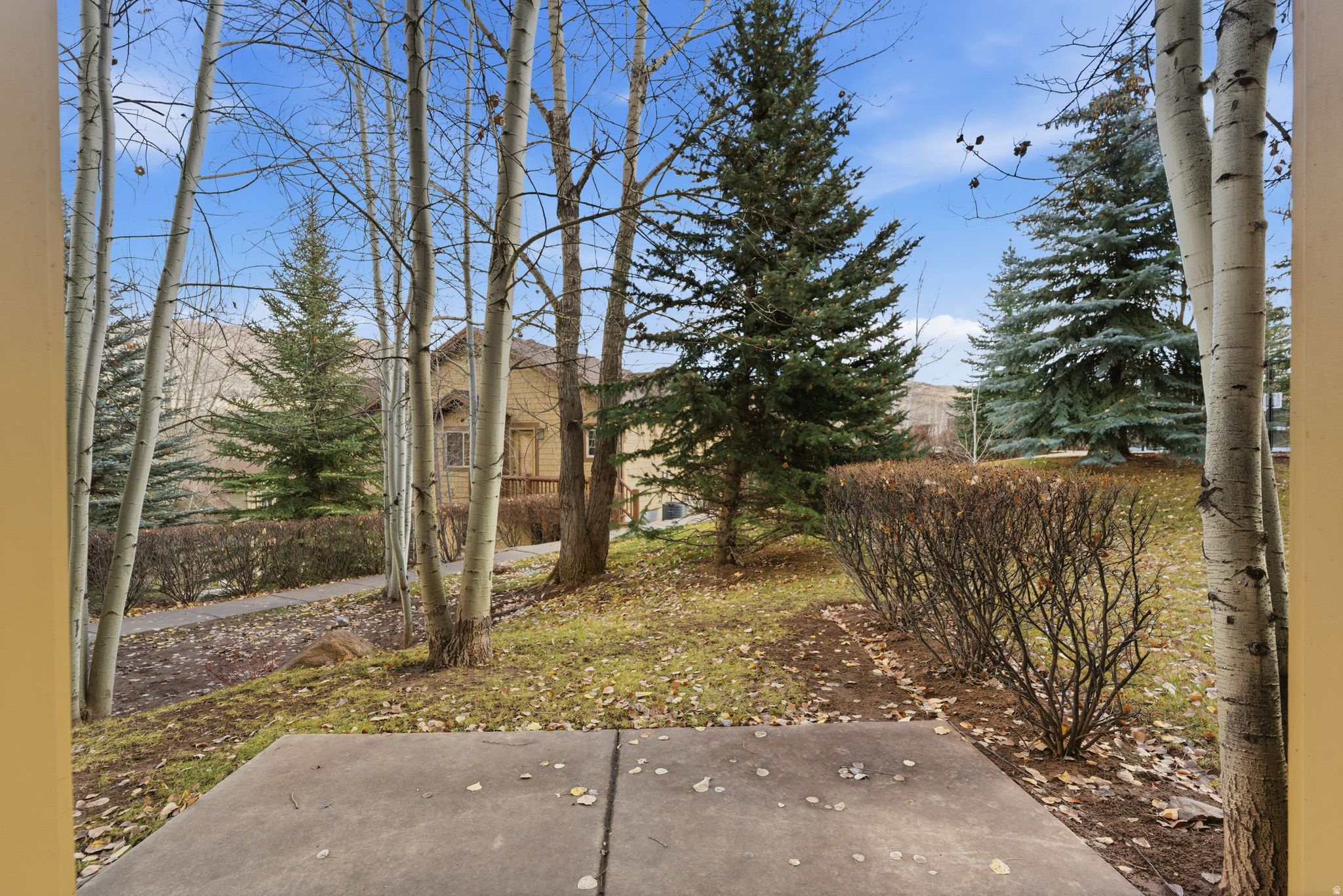 main property photo 53
