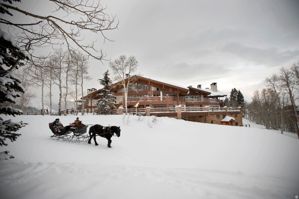 main property photo 87