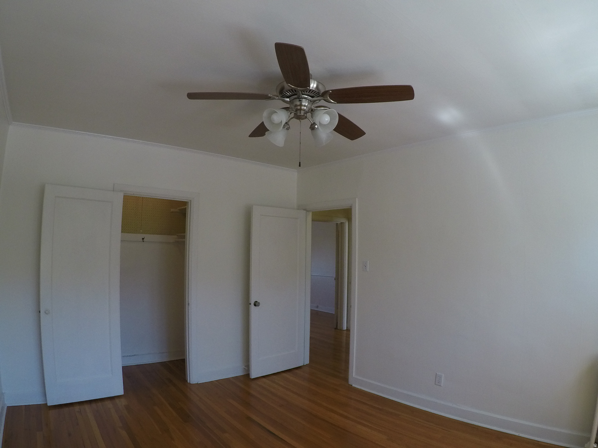 main property photo 61