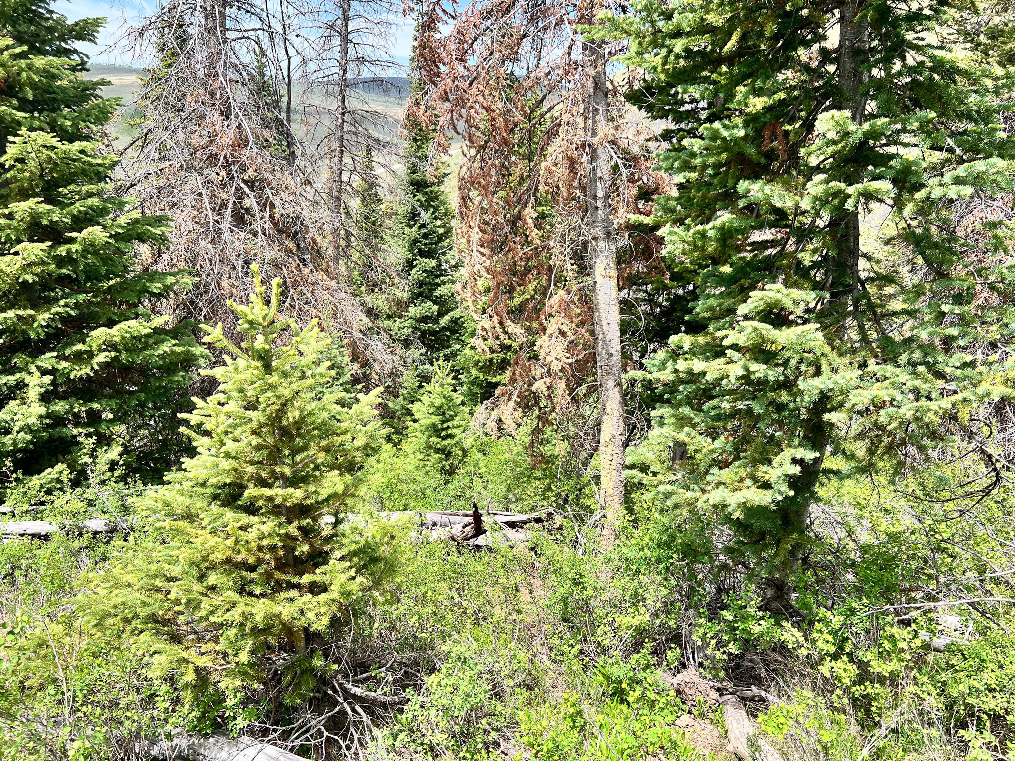 main property photo 17