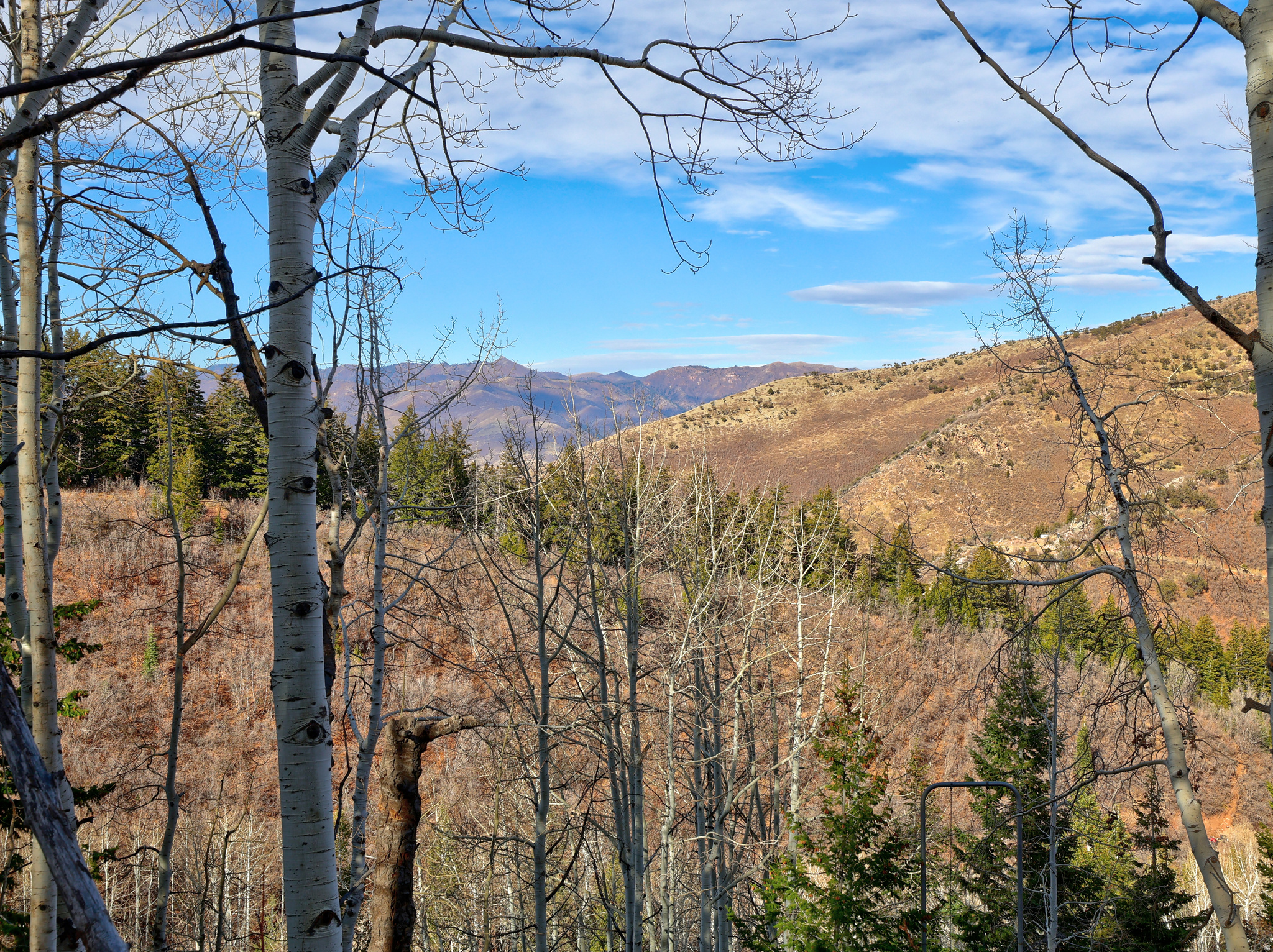 main property photo 14