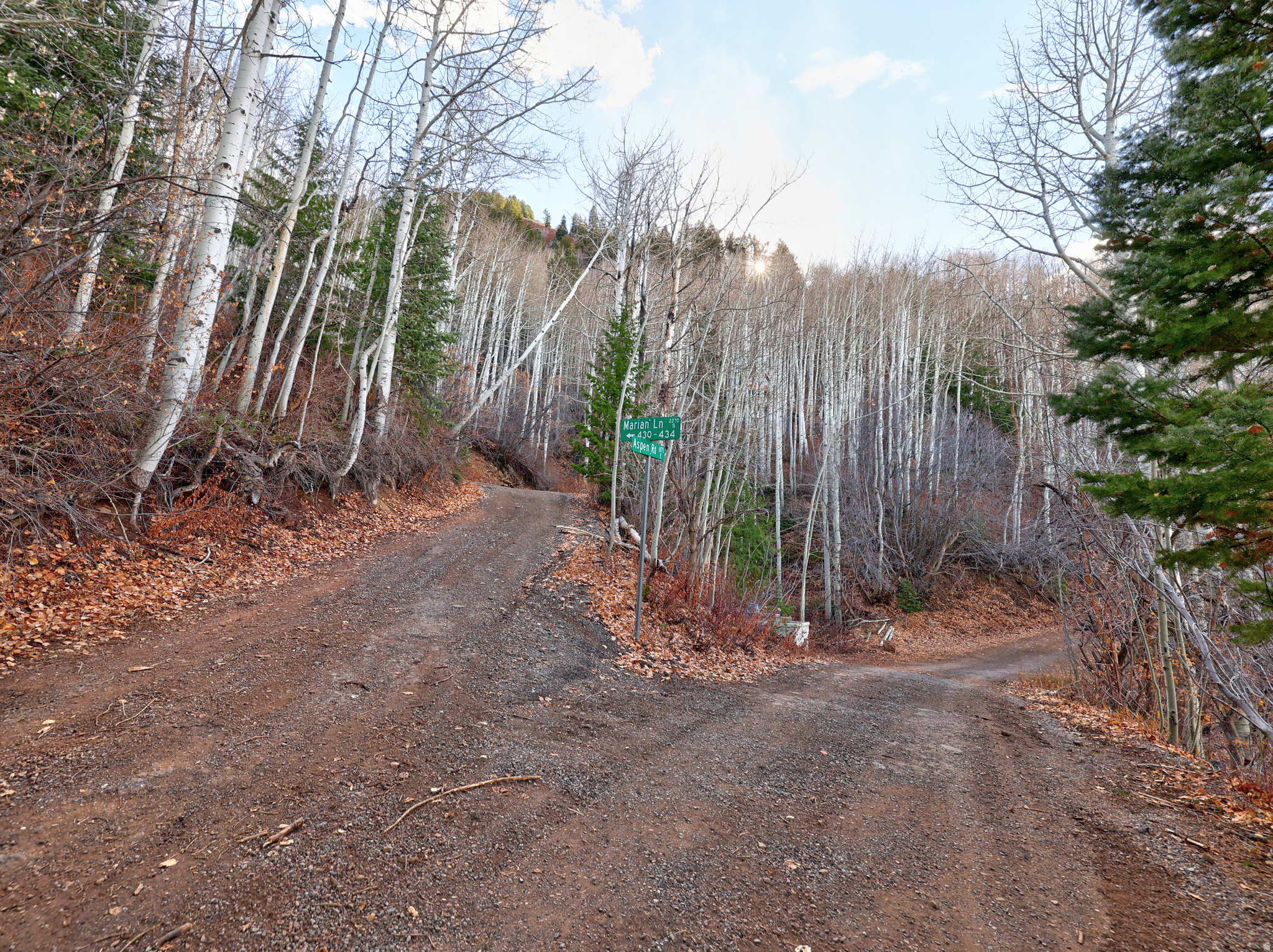 main property photo 15