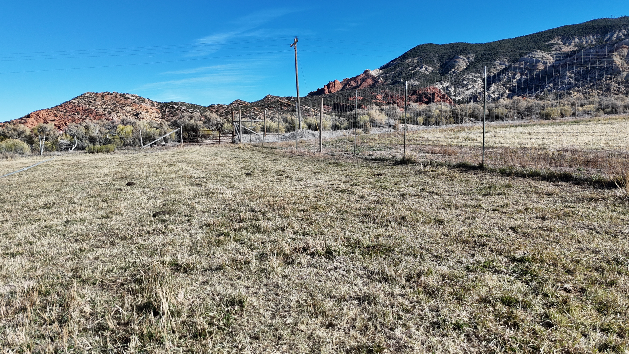 main property photo 18