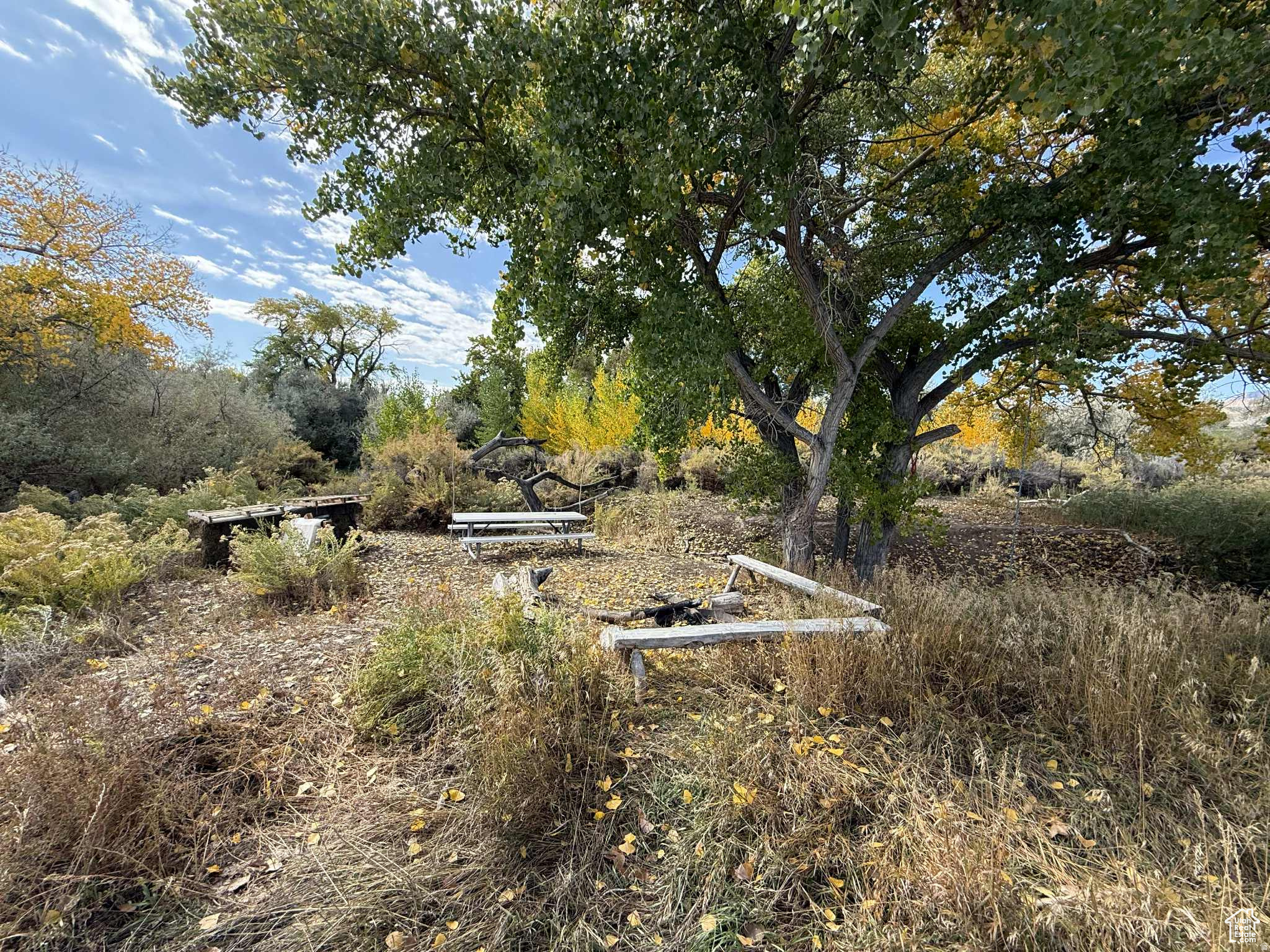 main property photo 58