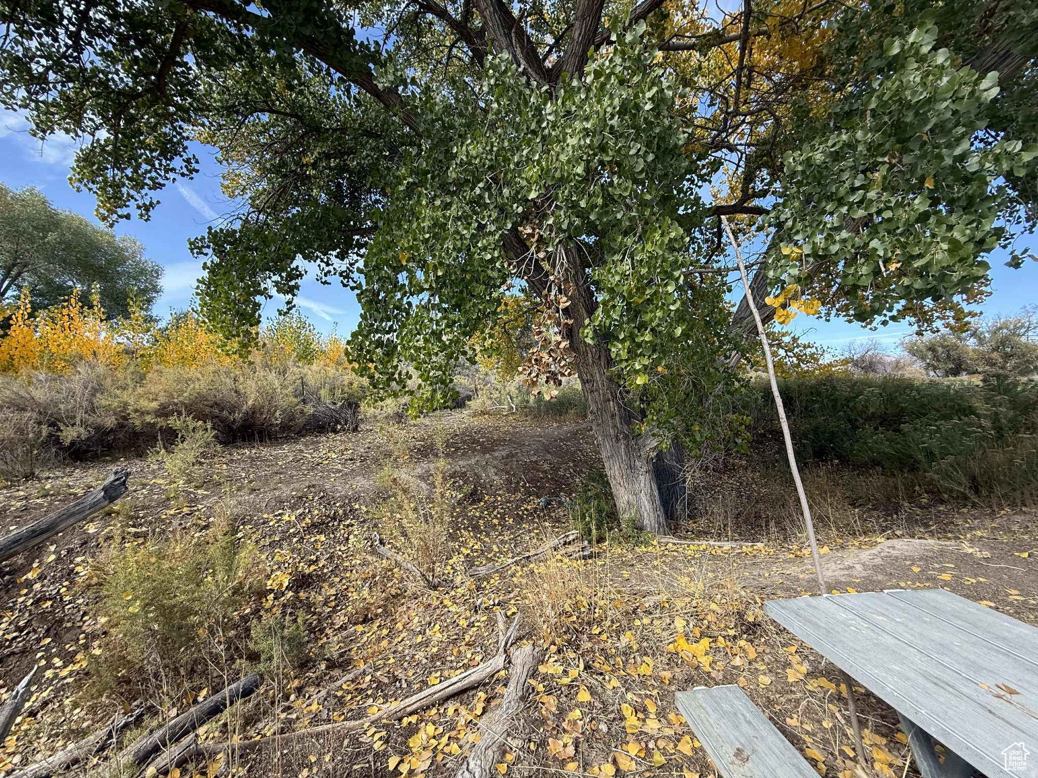 main property photo 91
