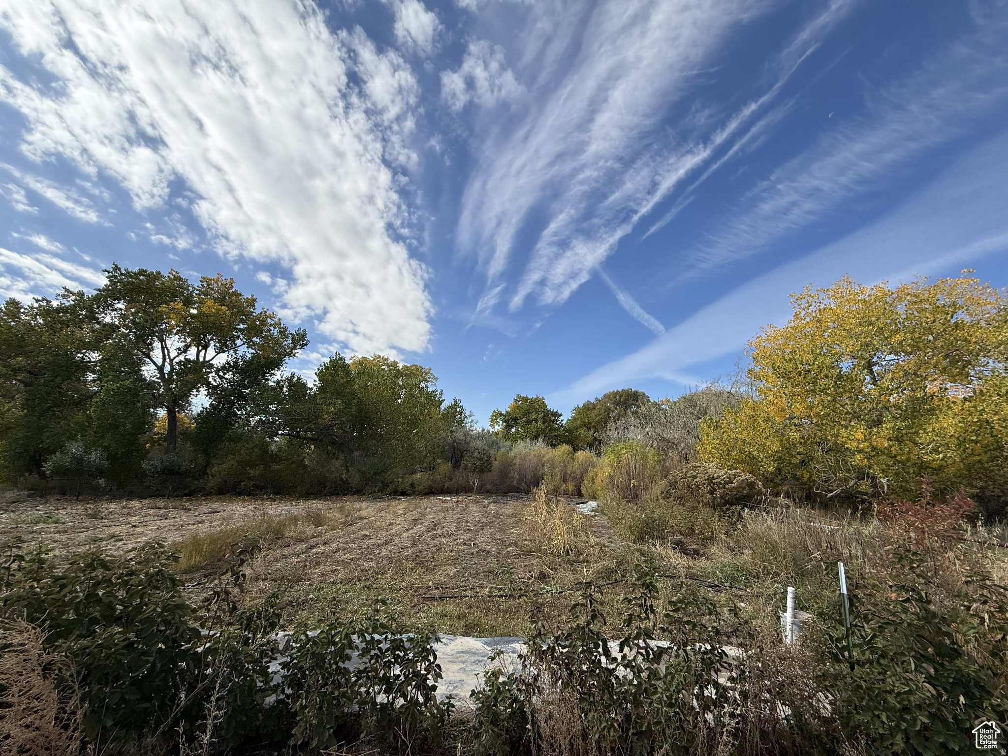 main property photo 93