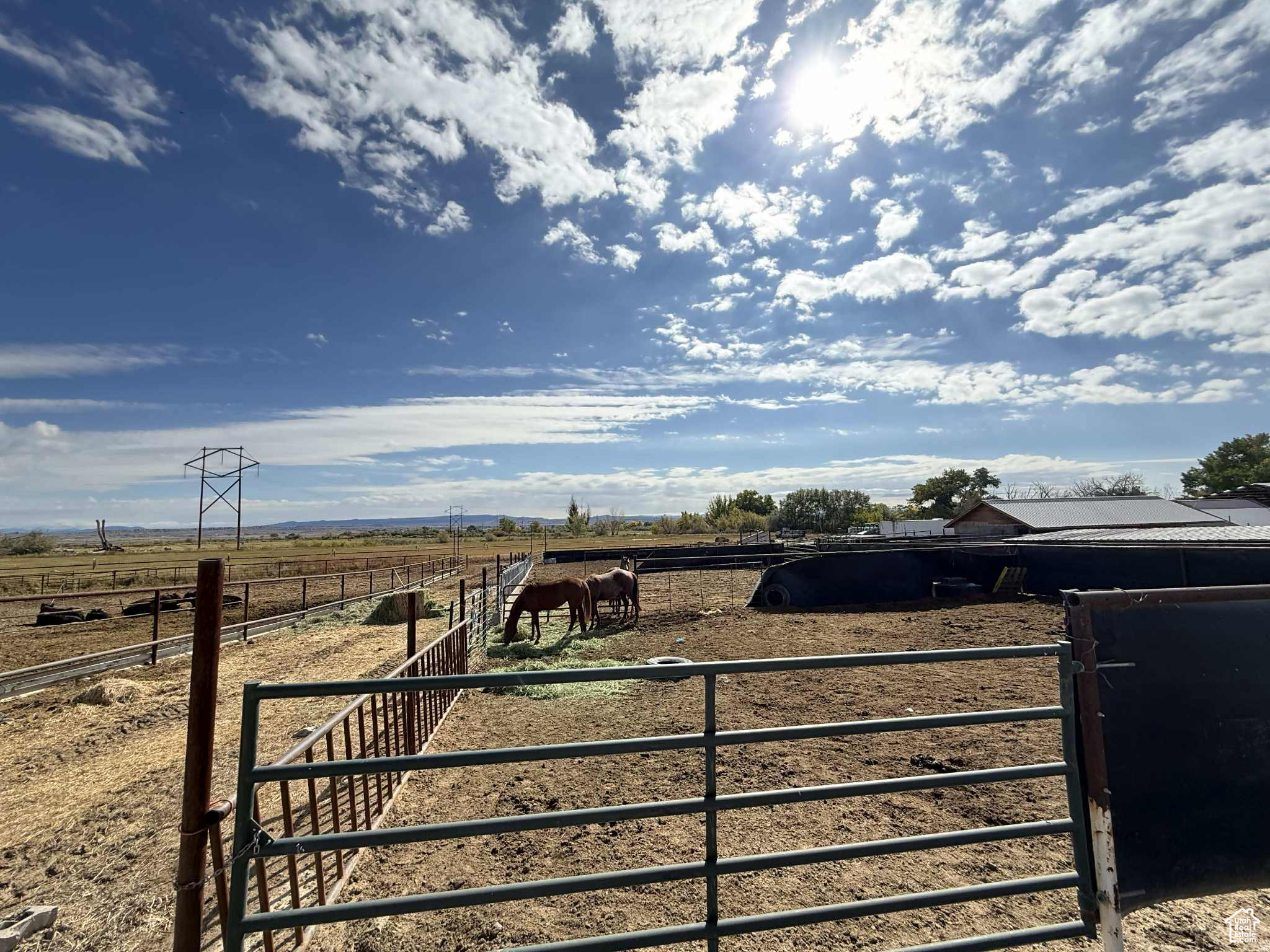 main property photo 99