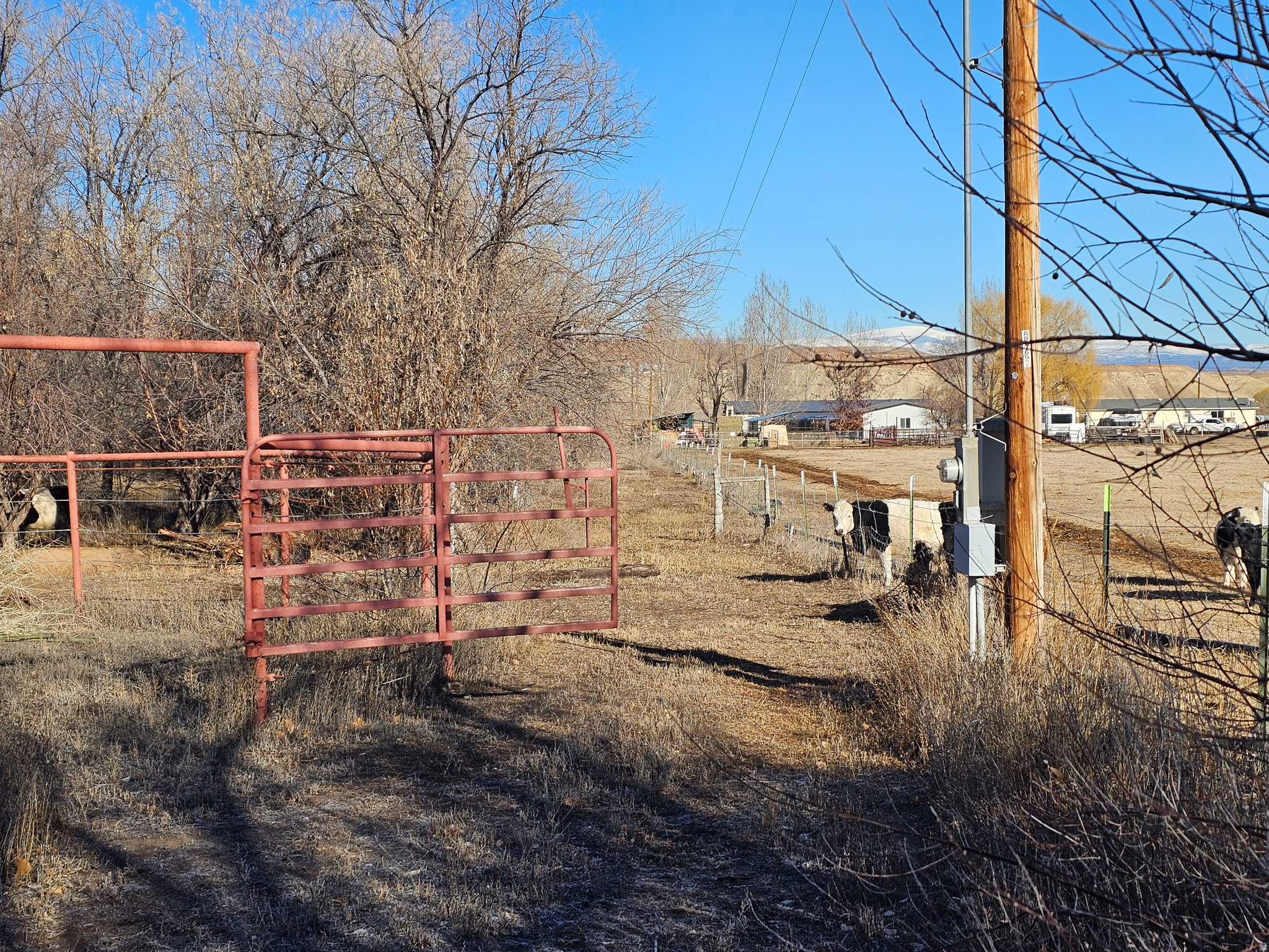main property photo 21