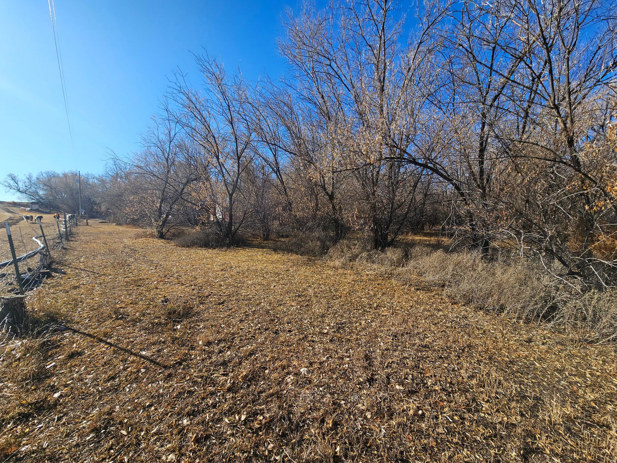 main property photo 23