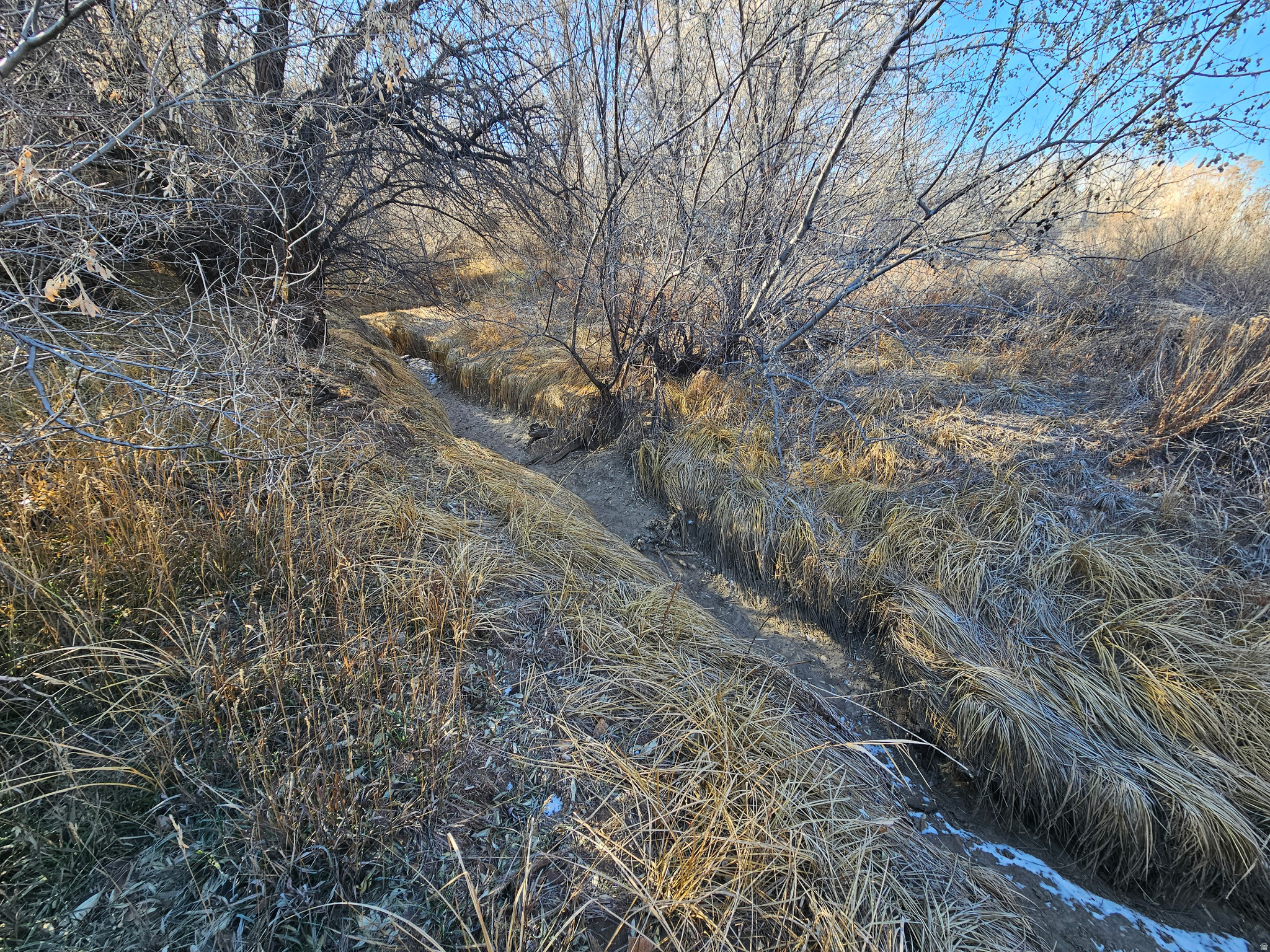 main property photo 34