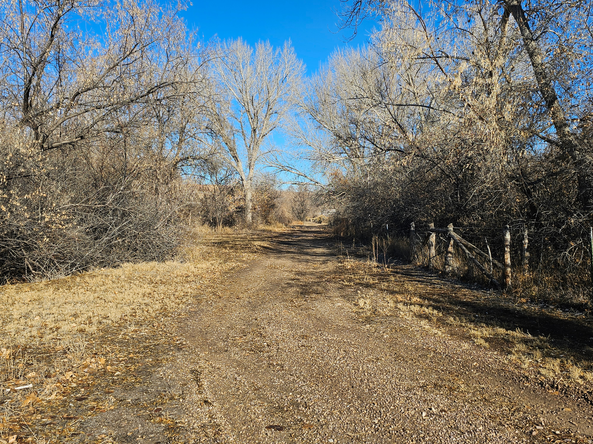 main property photo 35