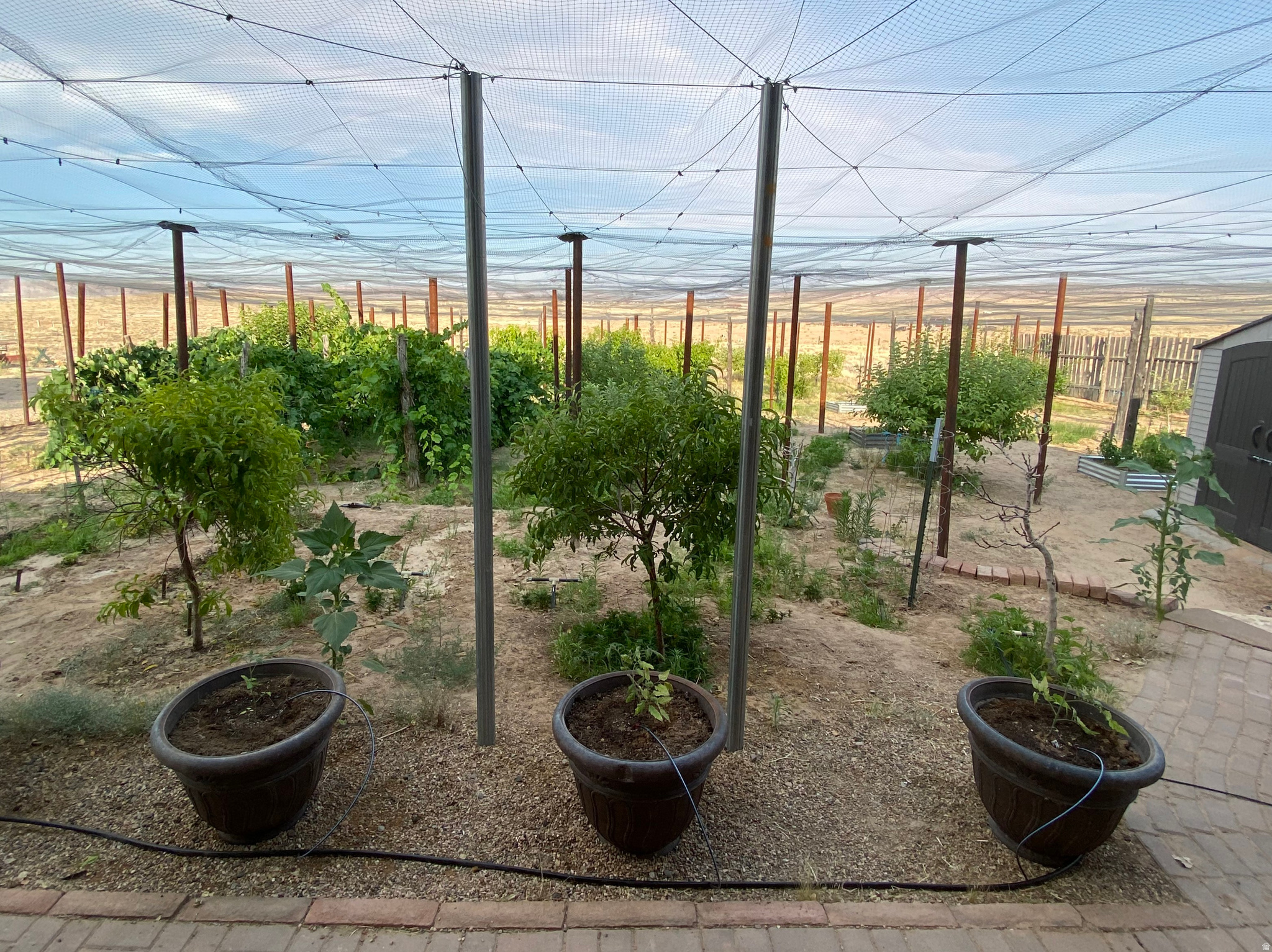 main property photo 53