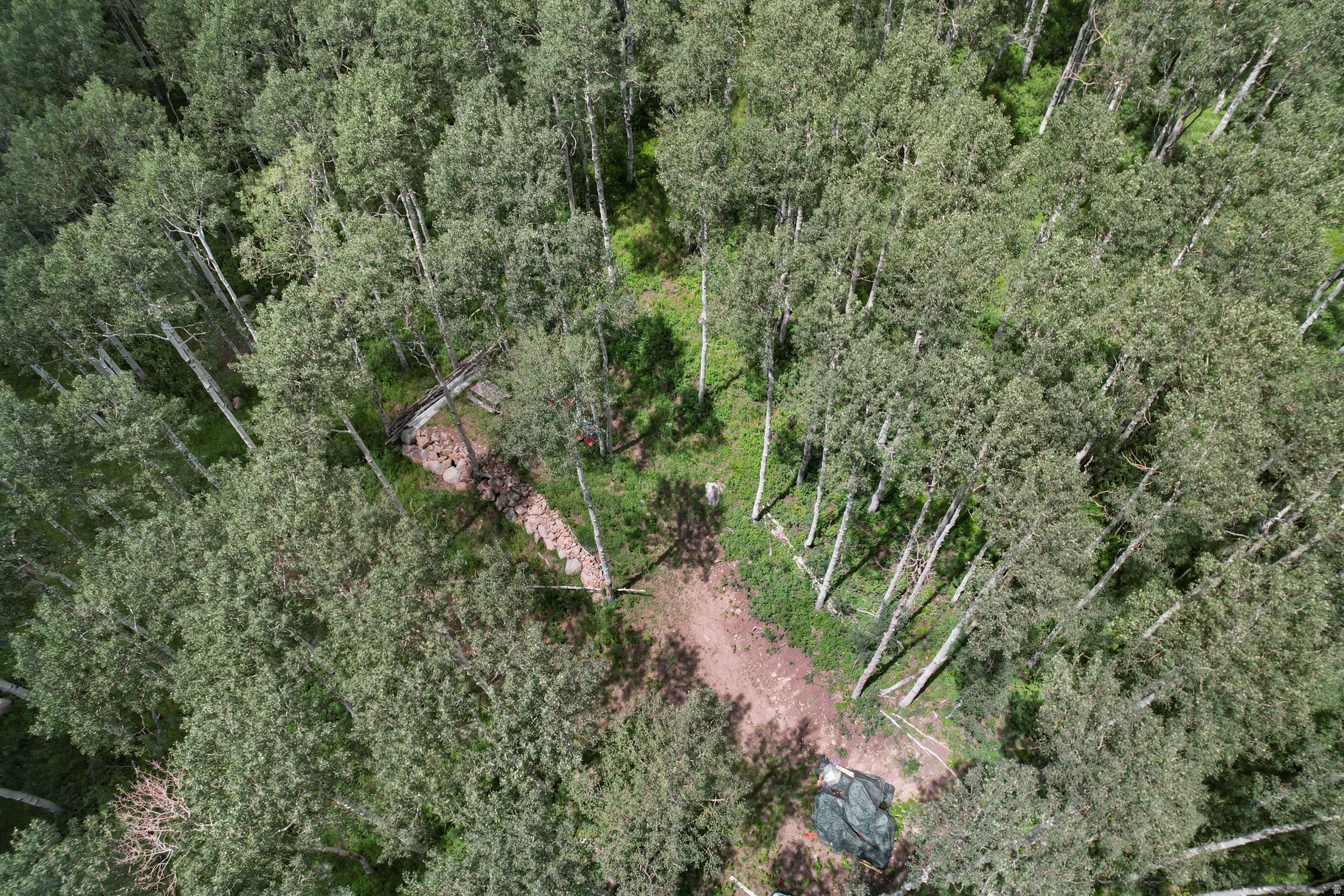 main property photo 11