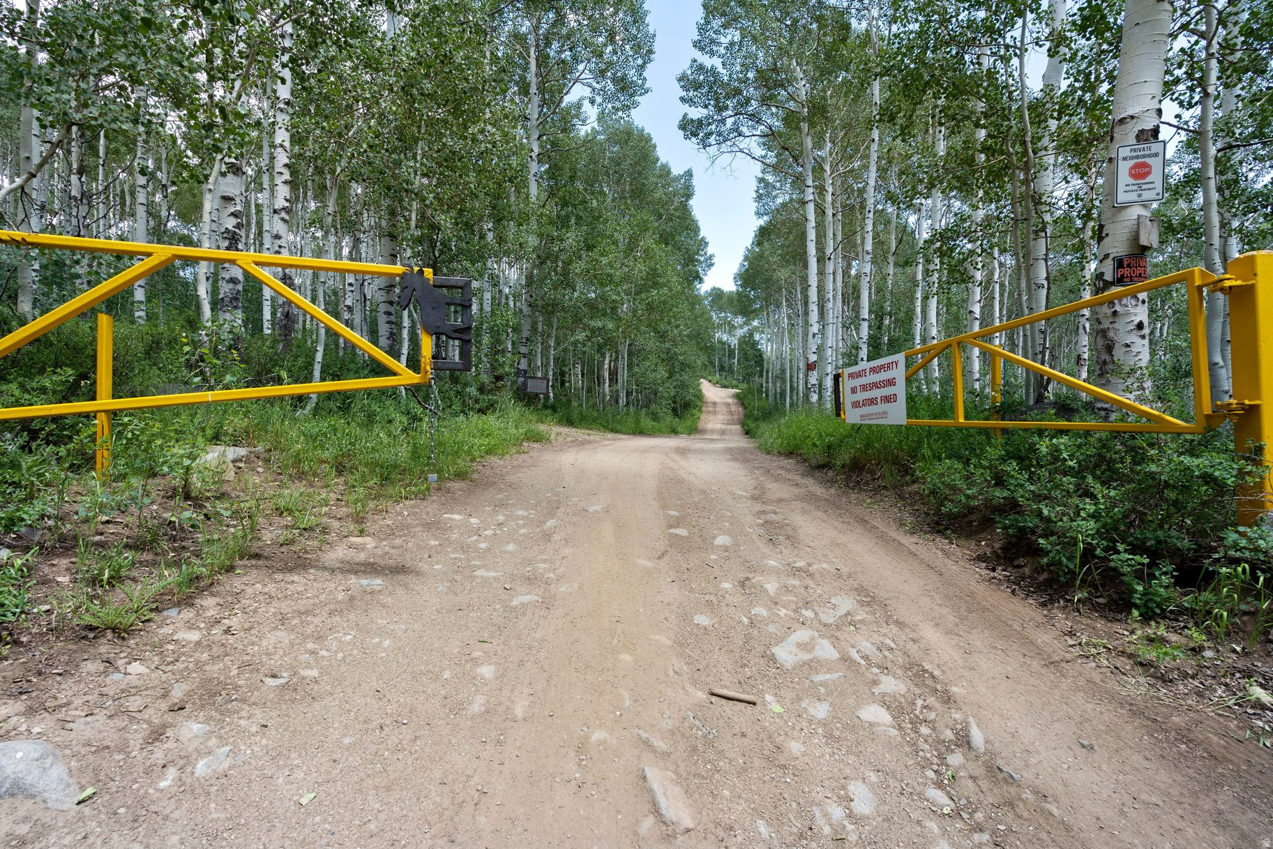main property photo 5
