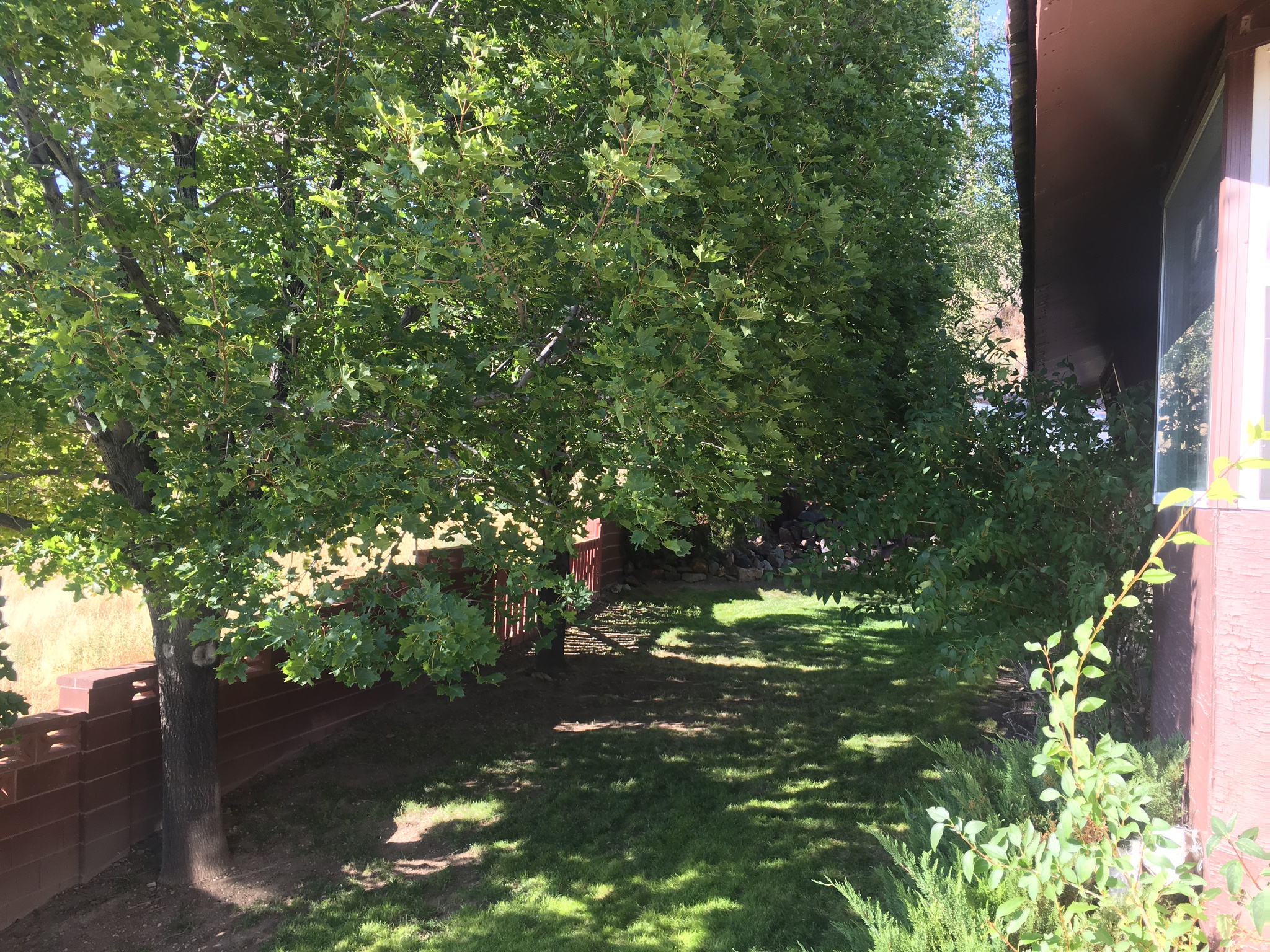 main property photo 50