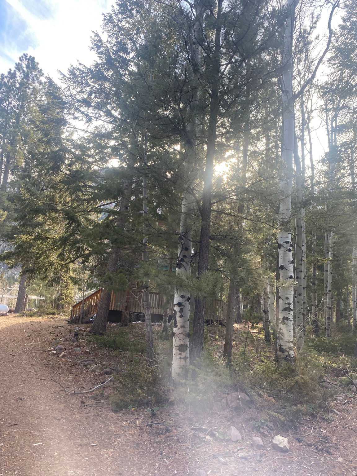 main property photo 42