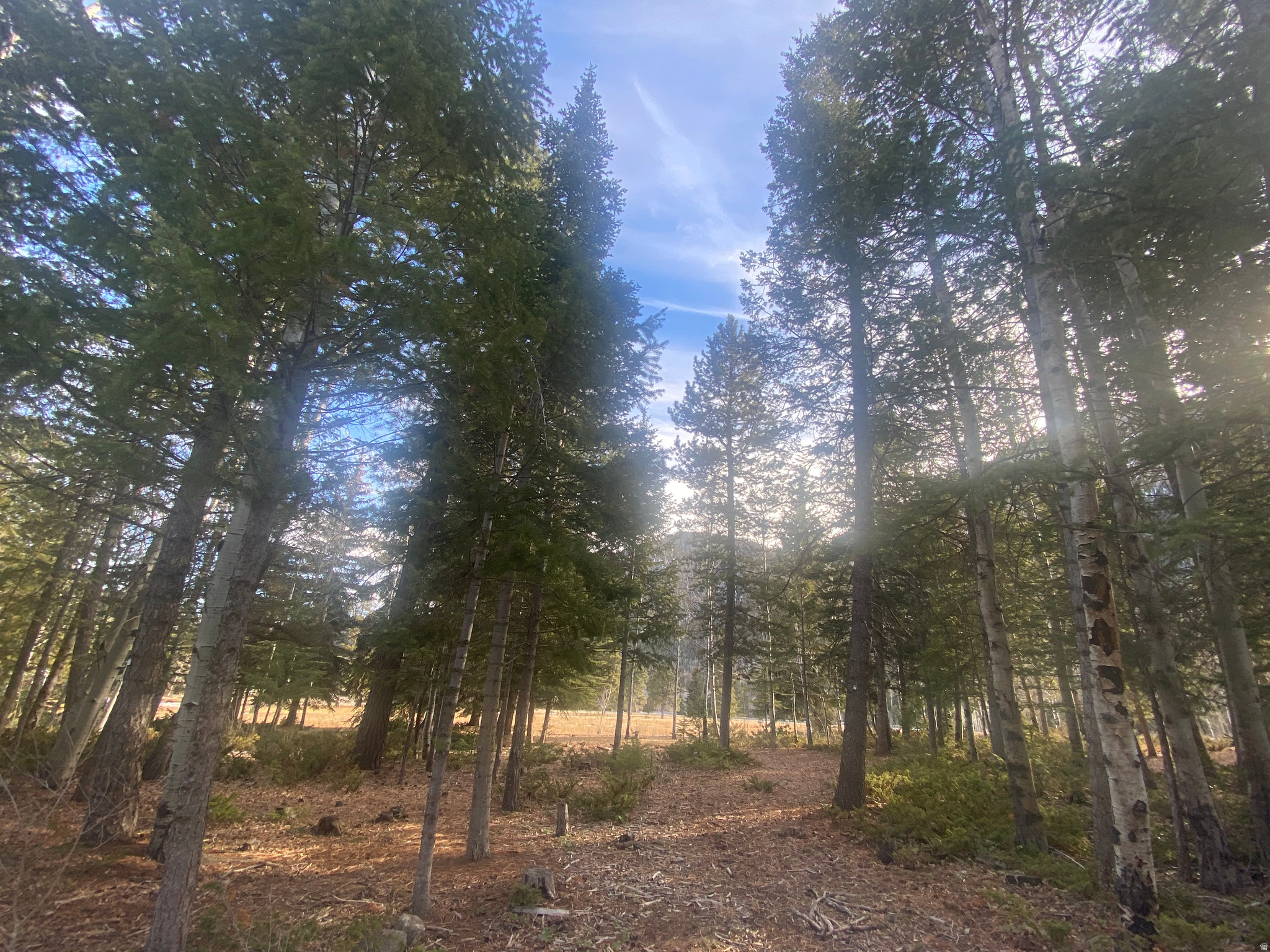 main property photo 46