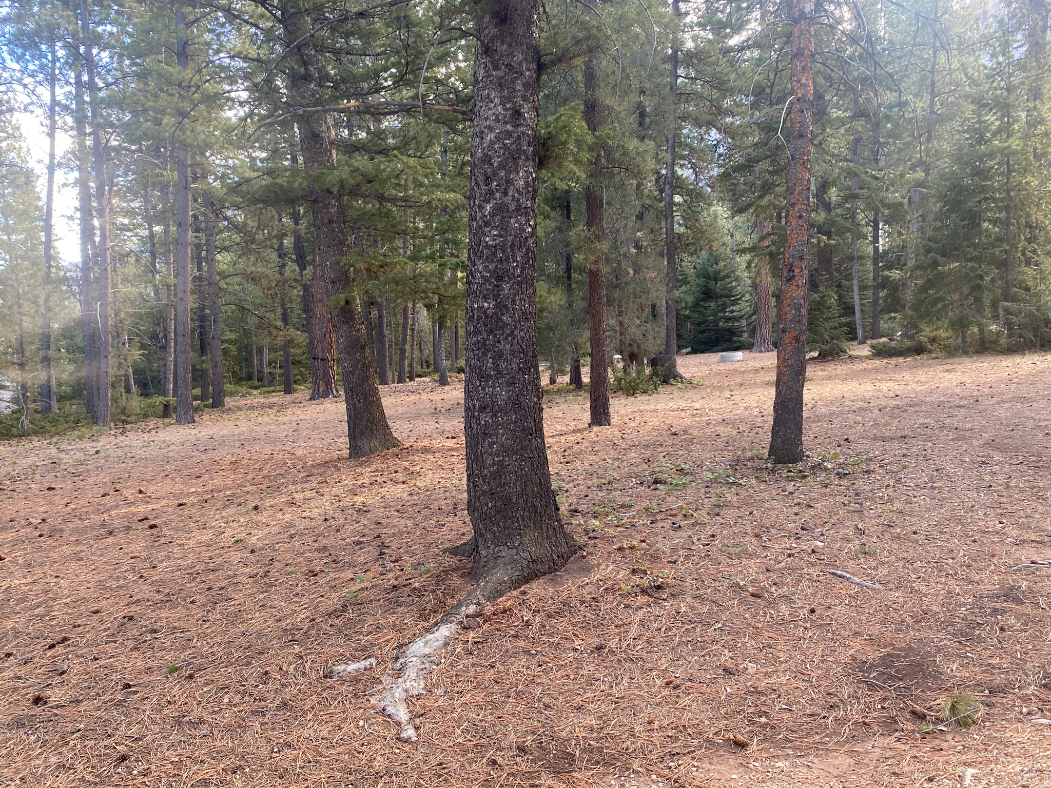 main property photo 52
