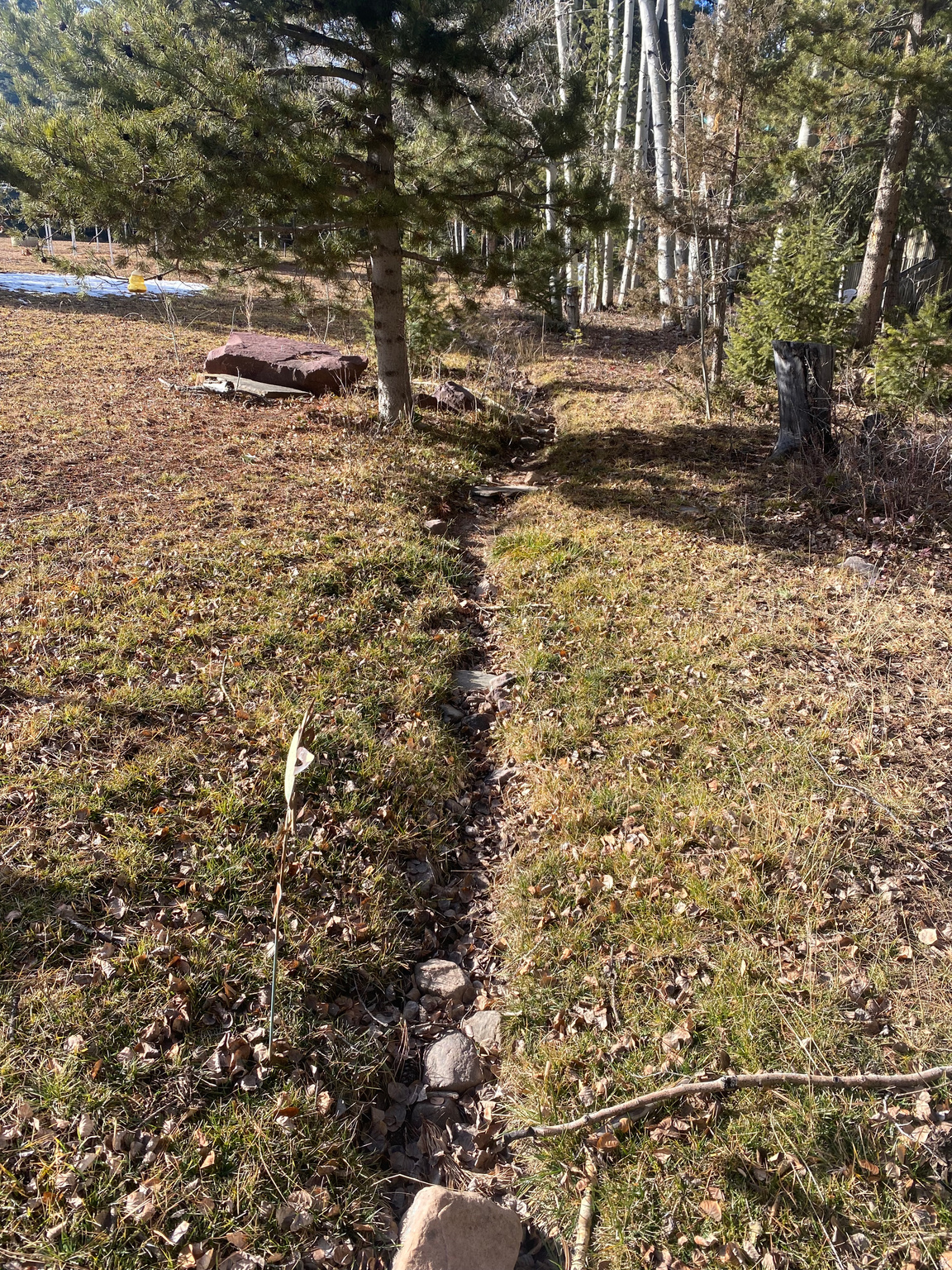 main property photo 58