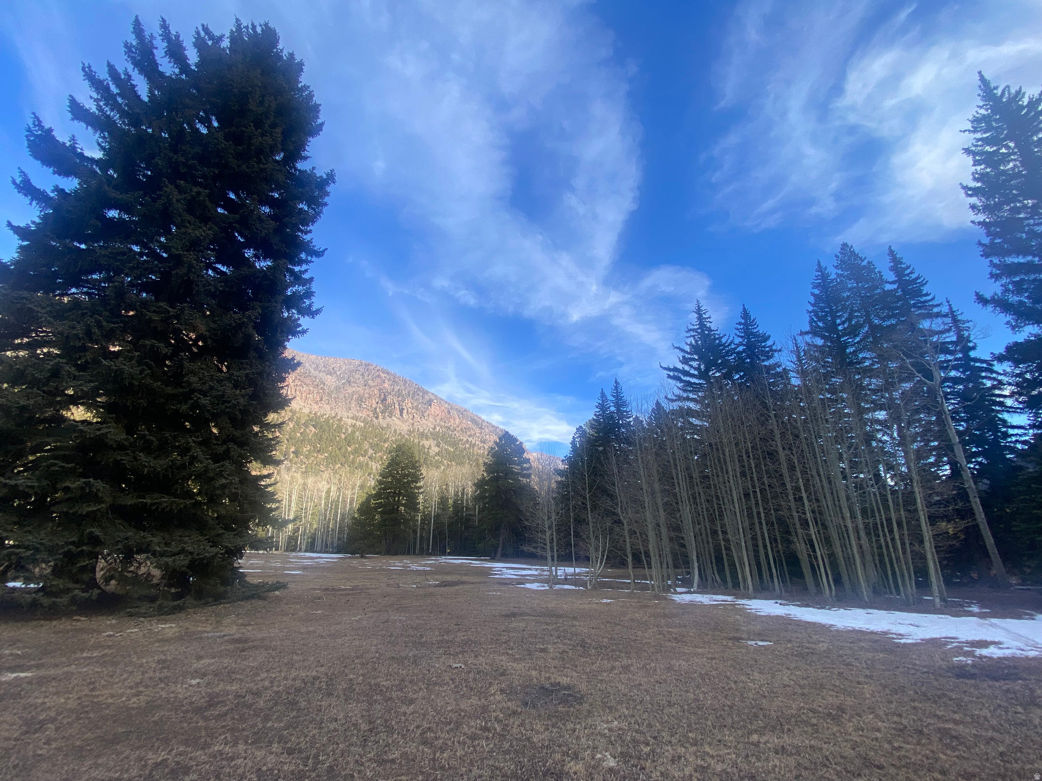 main property photo 61