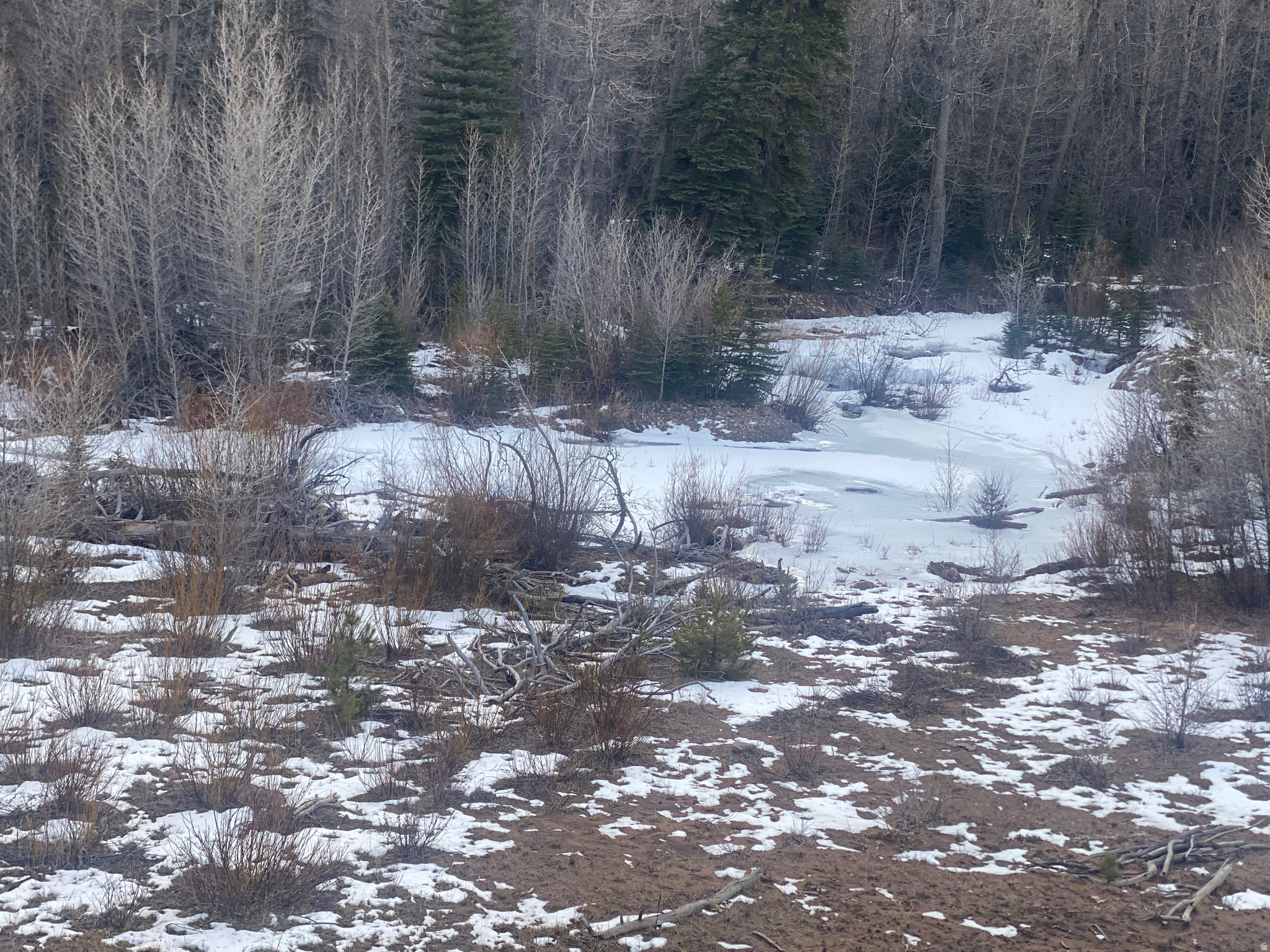 main property photo 66