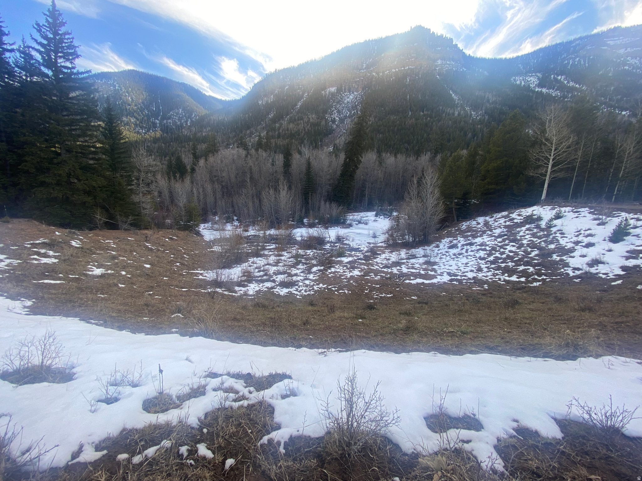 main property photo 68