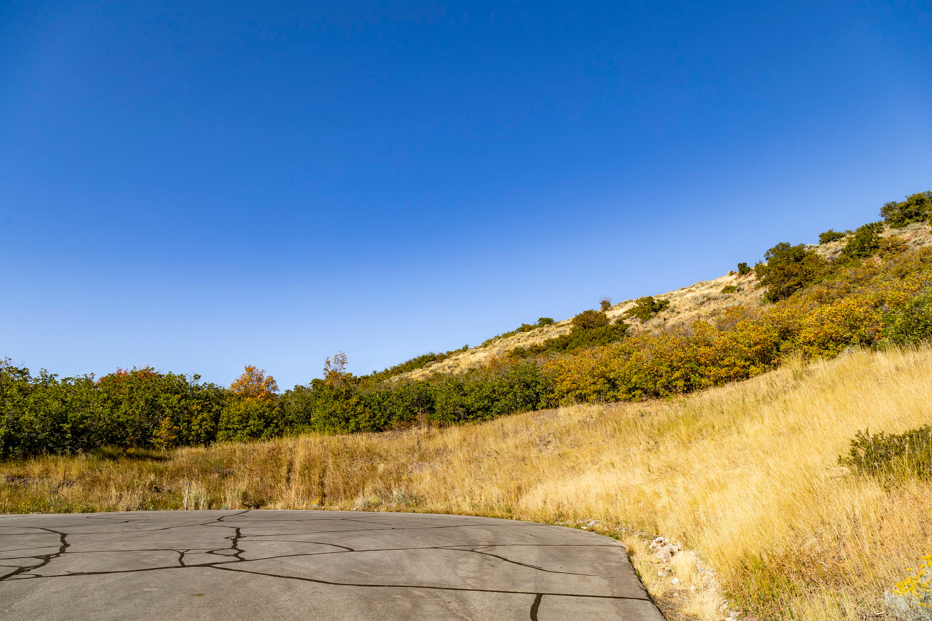 main property photo 56