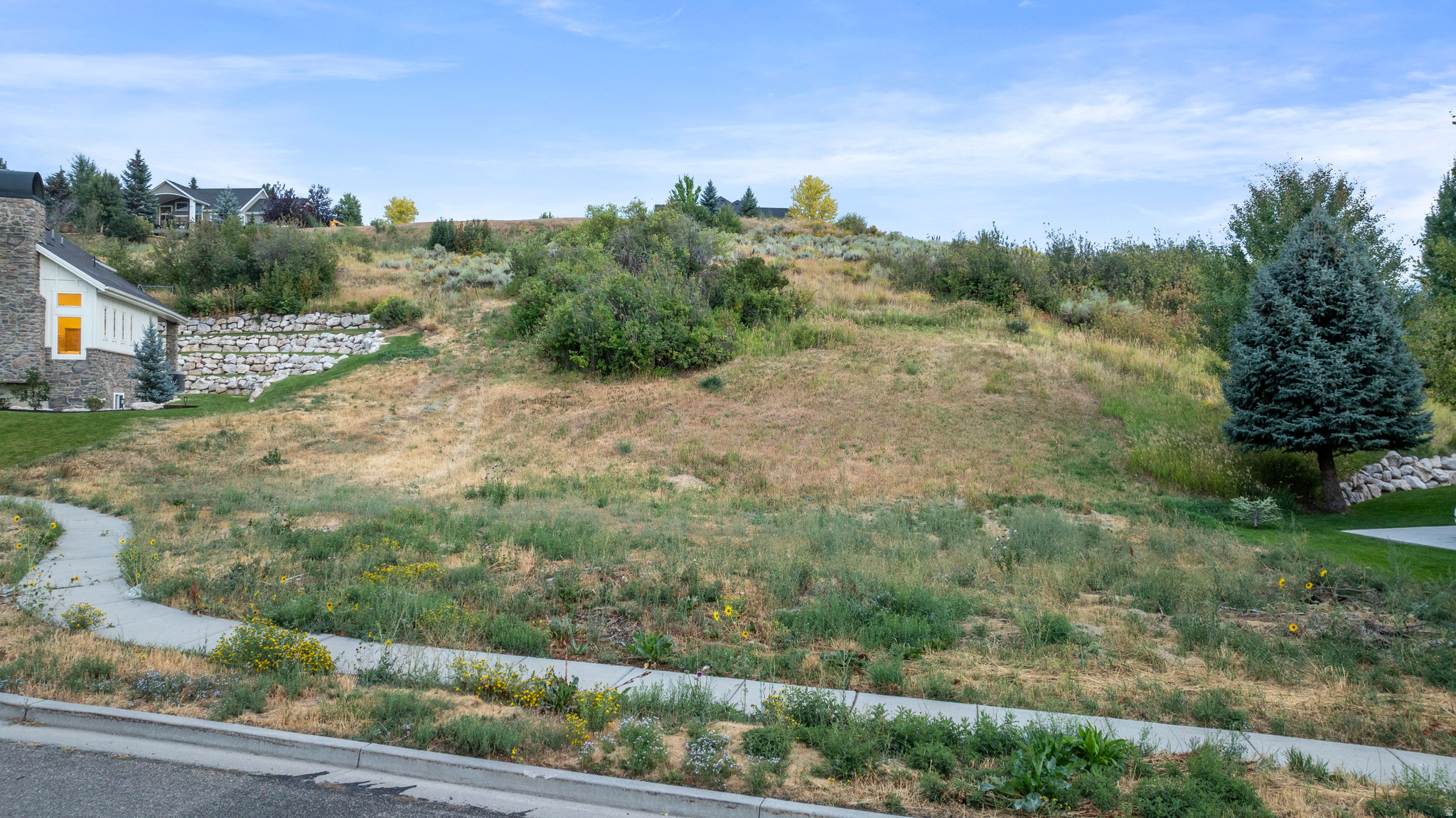 main property photo 13