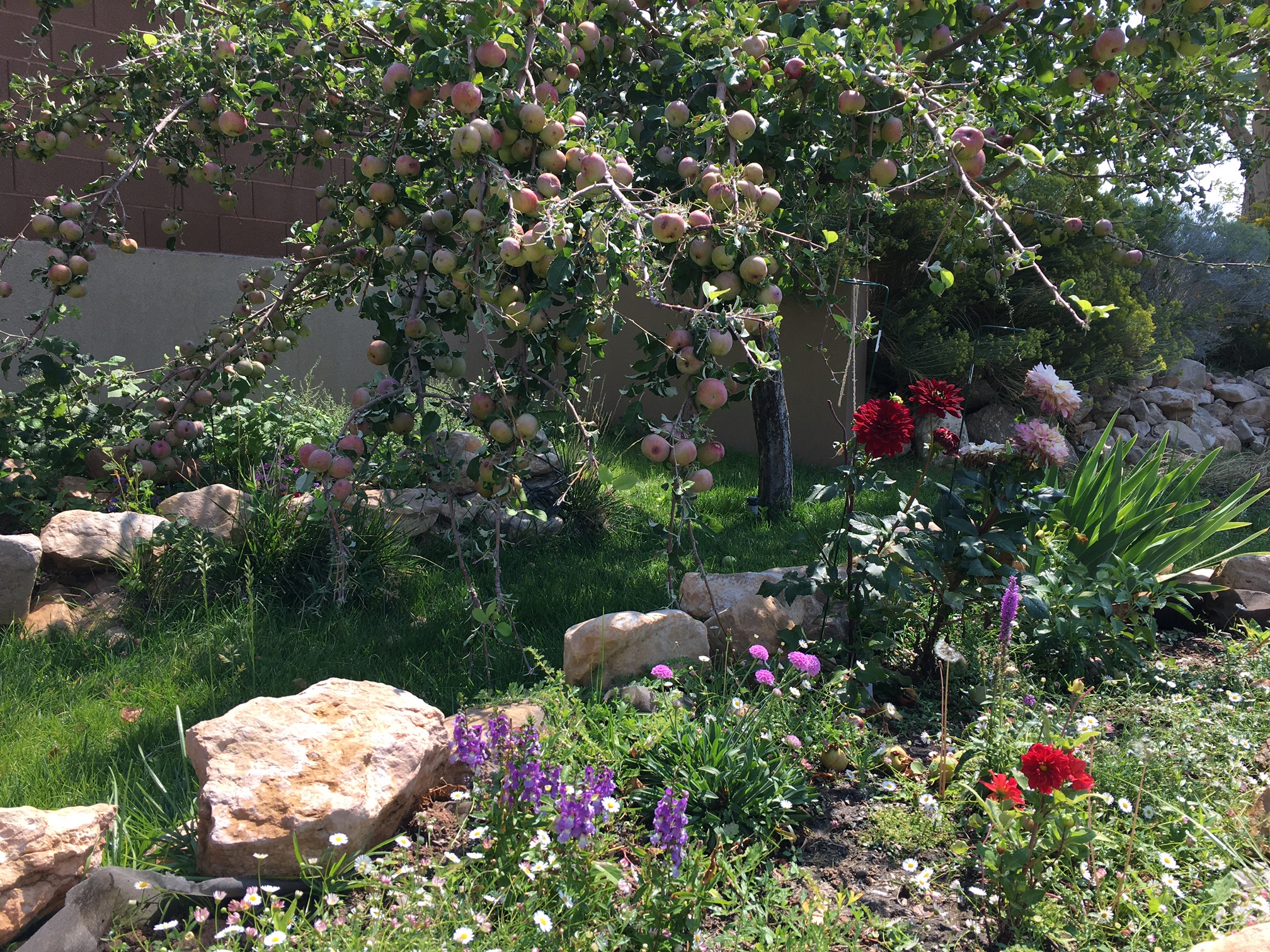 main property photo 43