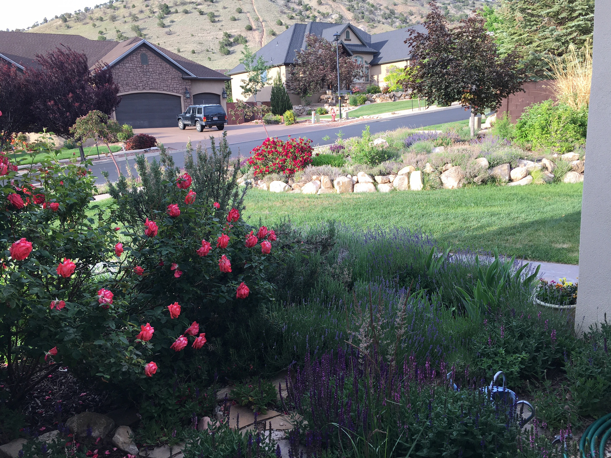main property photo 44