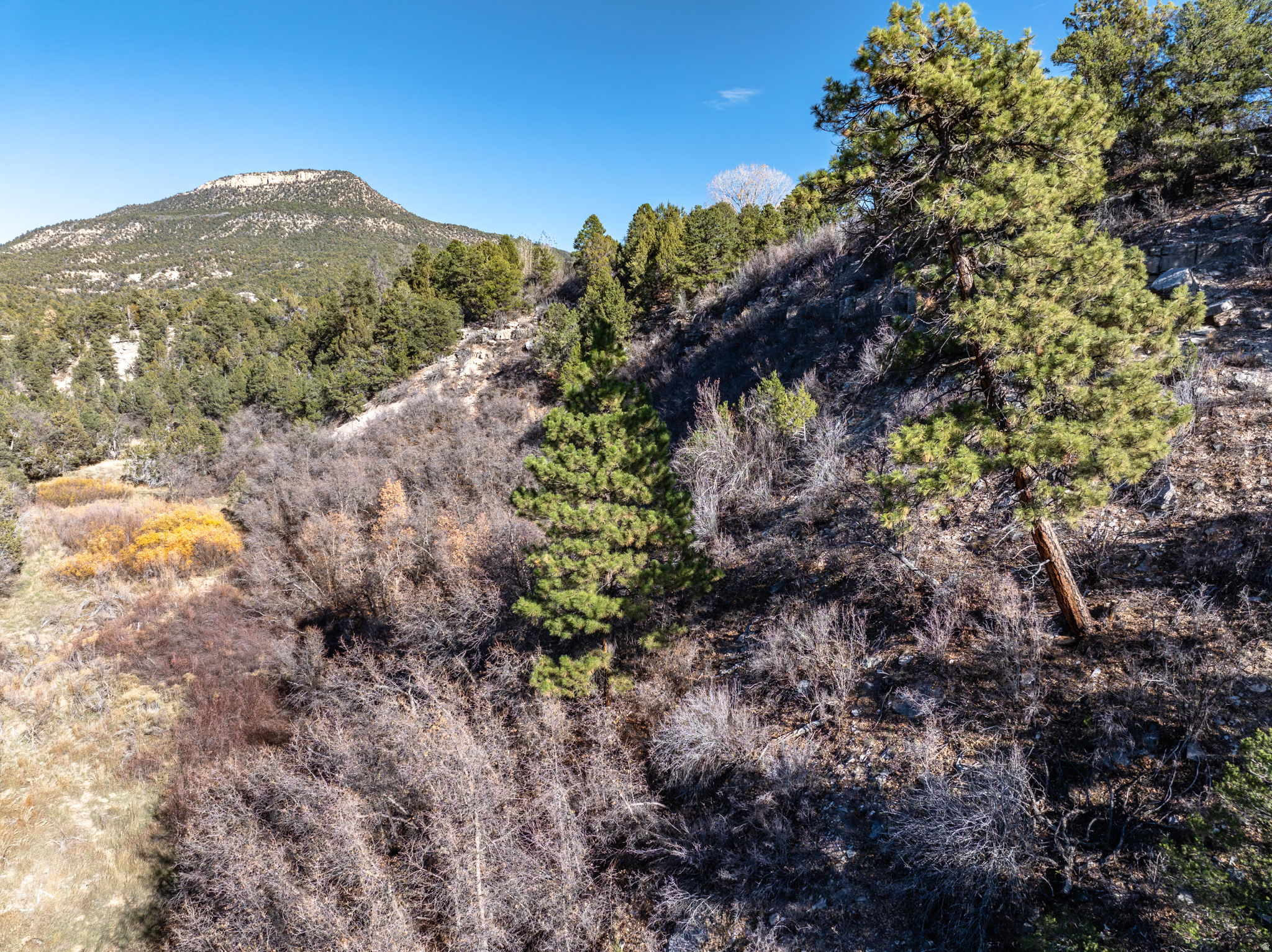 main property photo 19