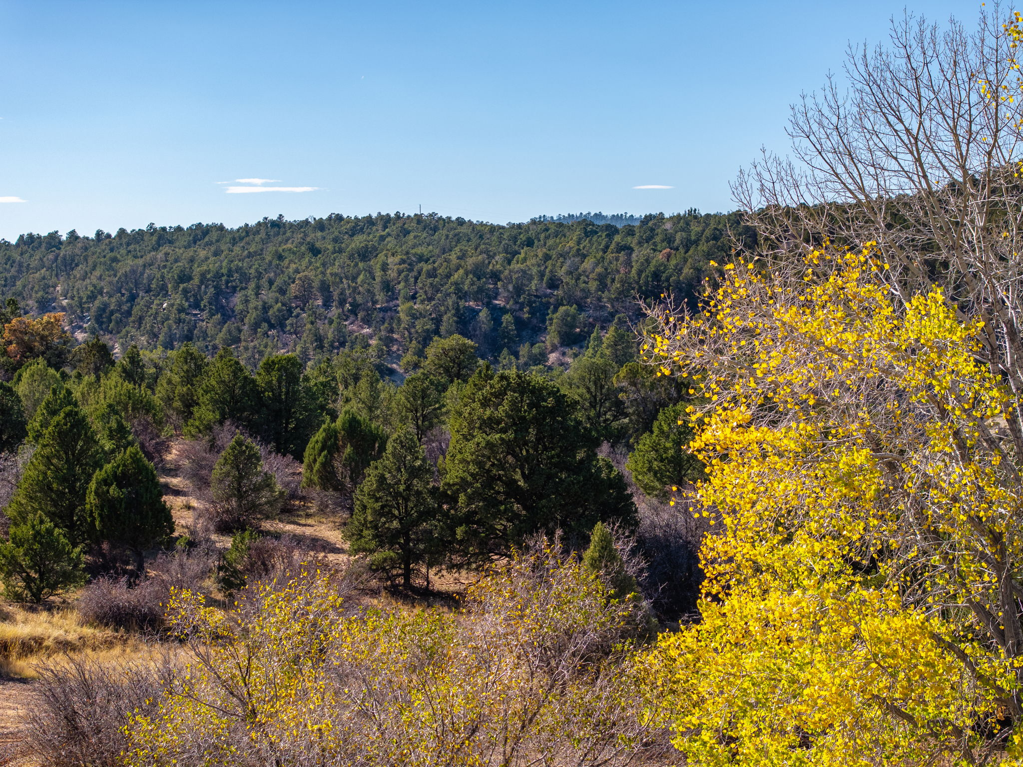 main property photo 46