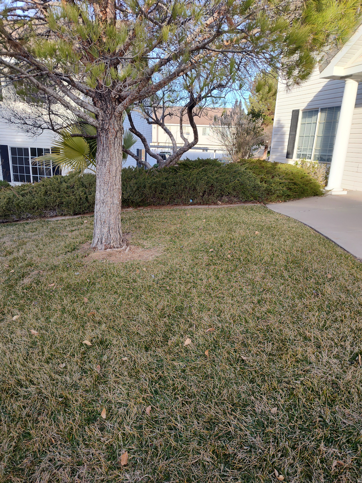 main property photo 12
