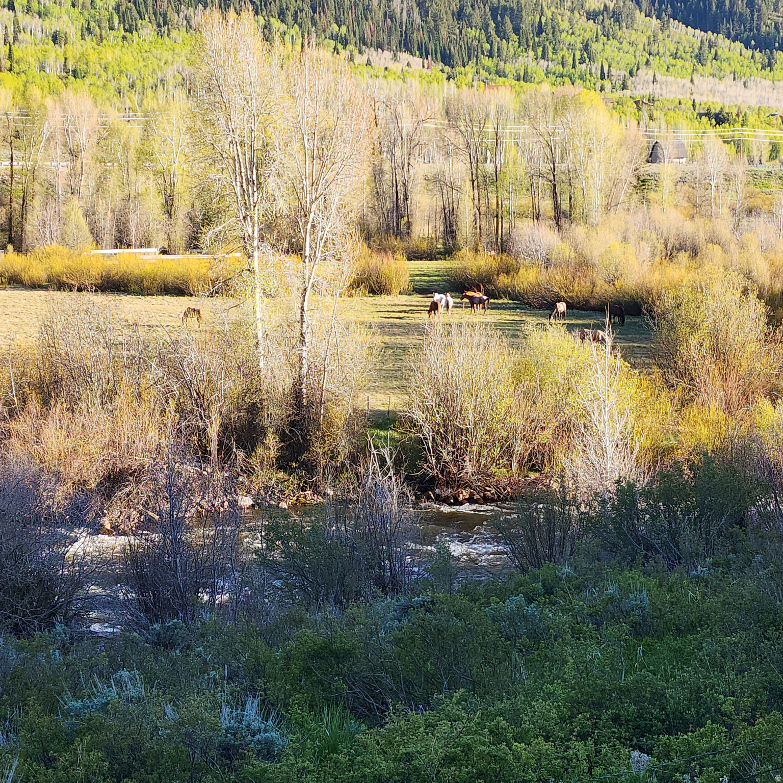main property photo 24
