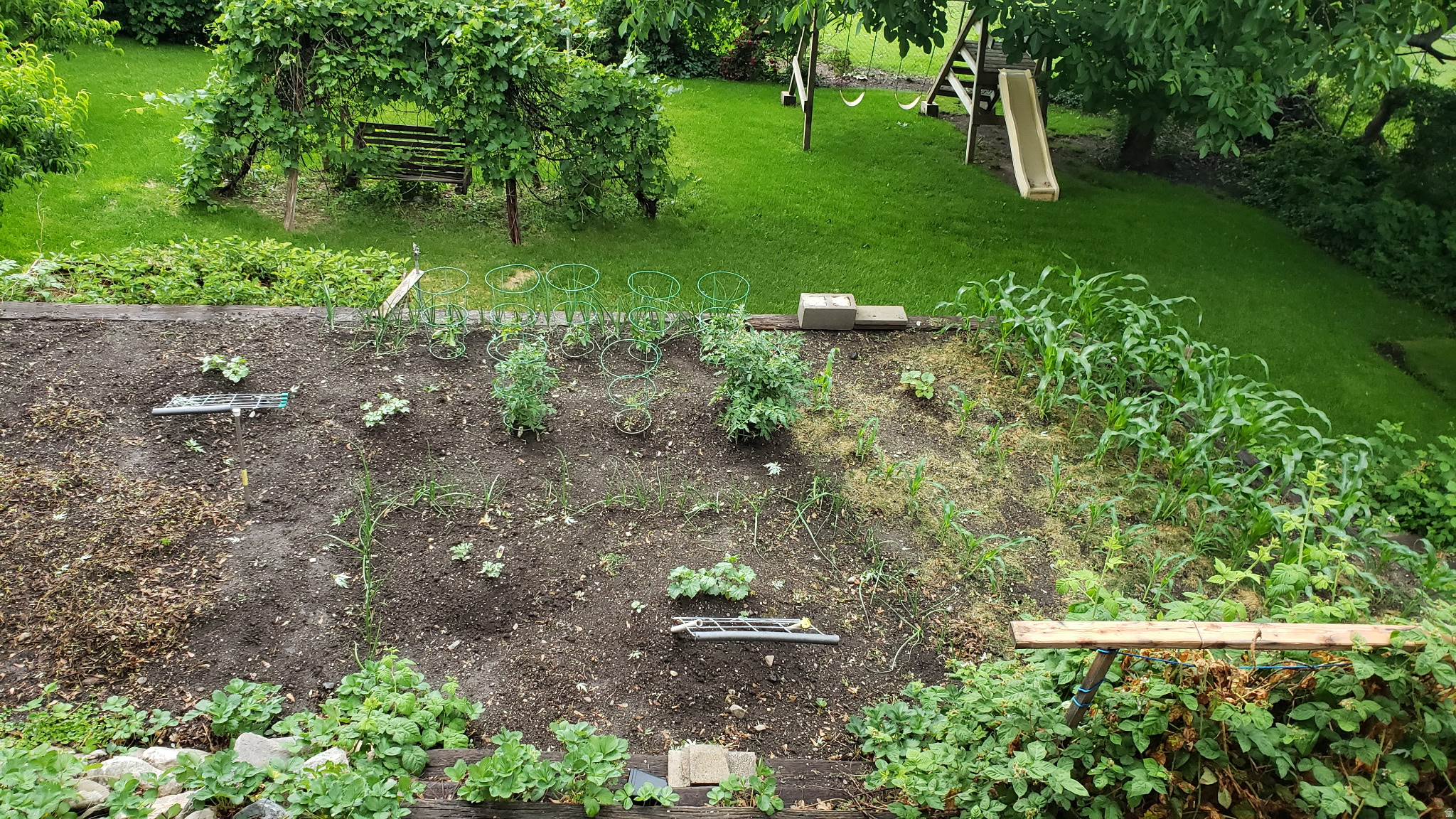 main property photo 46