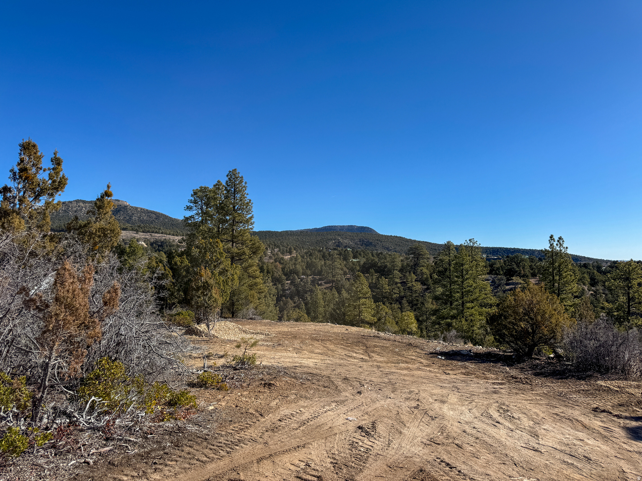 main property photo 14