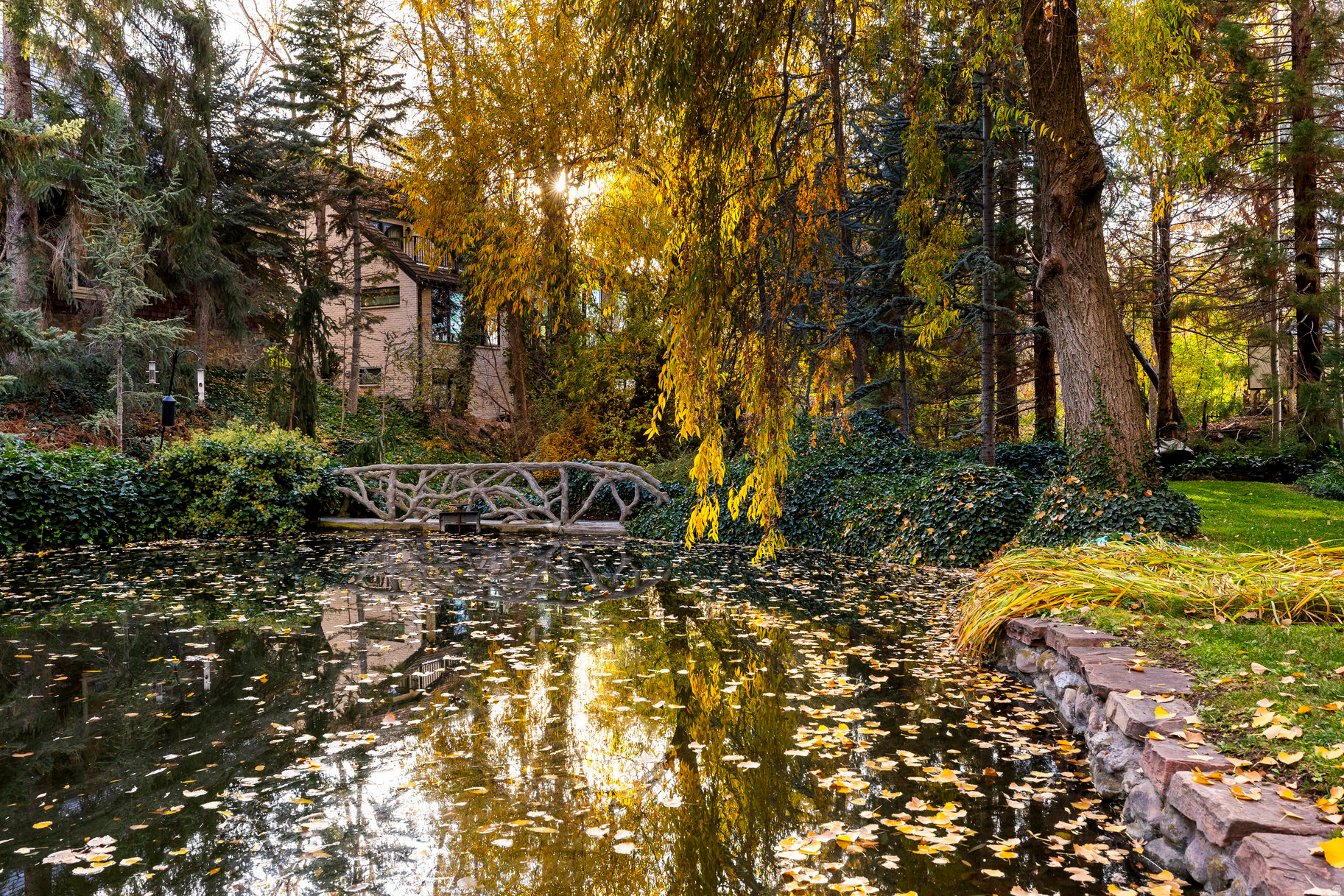 main property photo 68