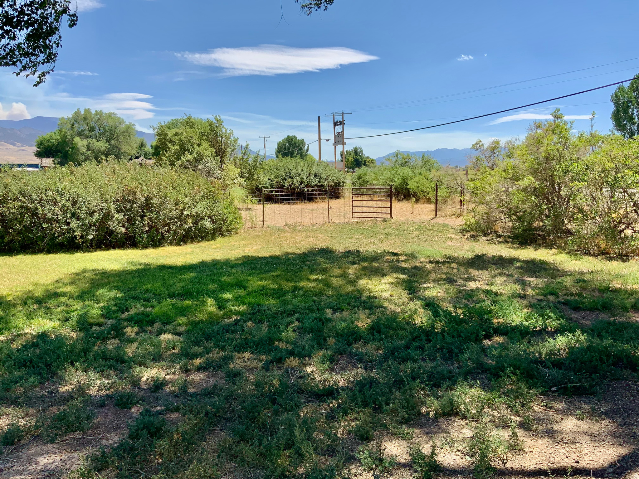 main property photo 55