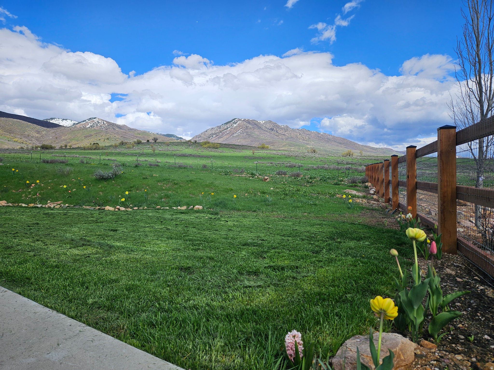 main property photo 52